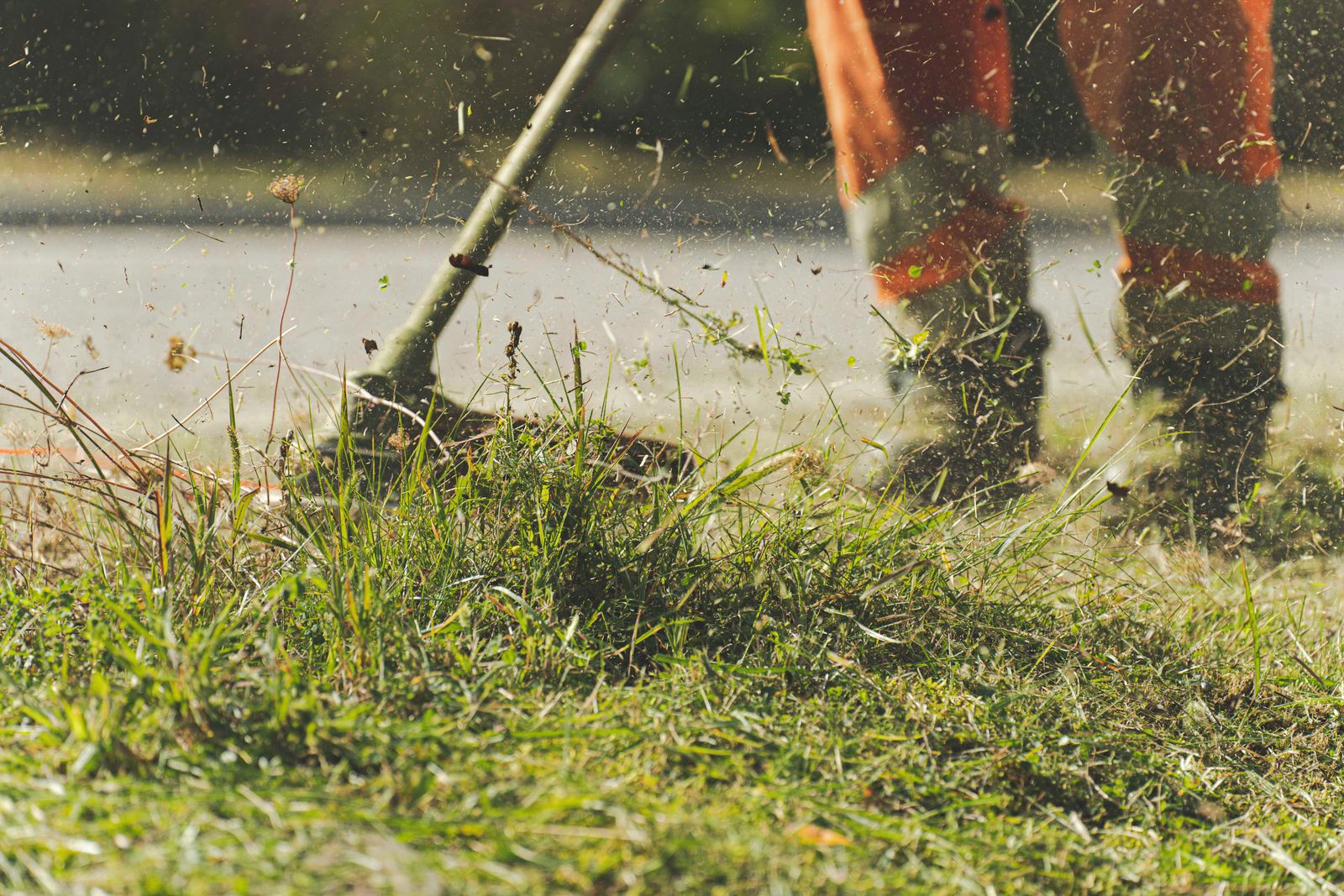 5 Essential Seasonal Lawn Care Tips for Suburban Homeowners