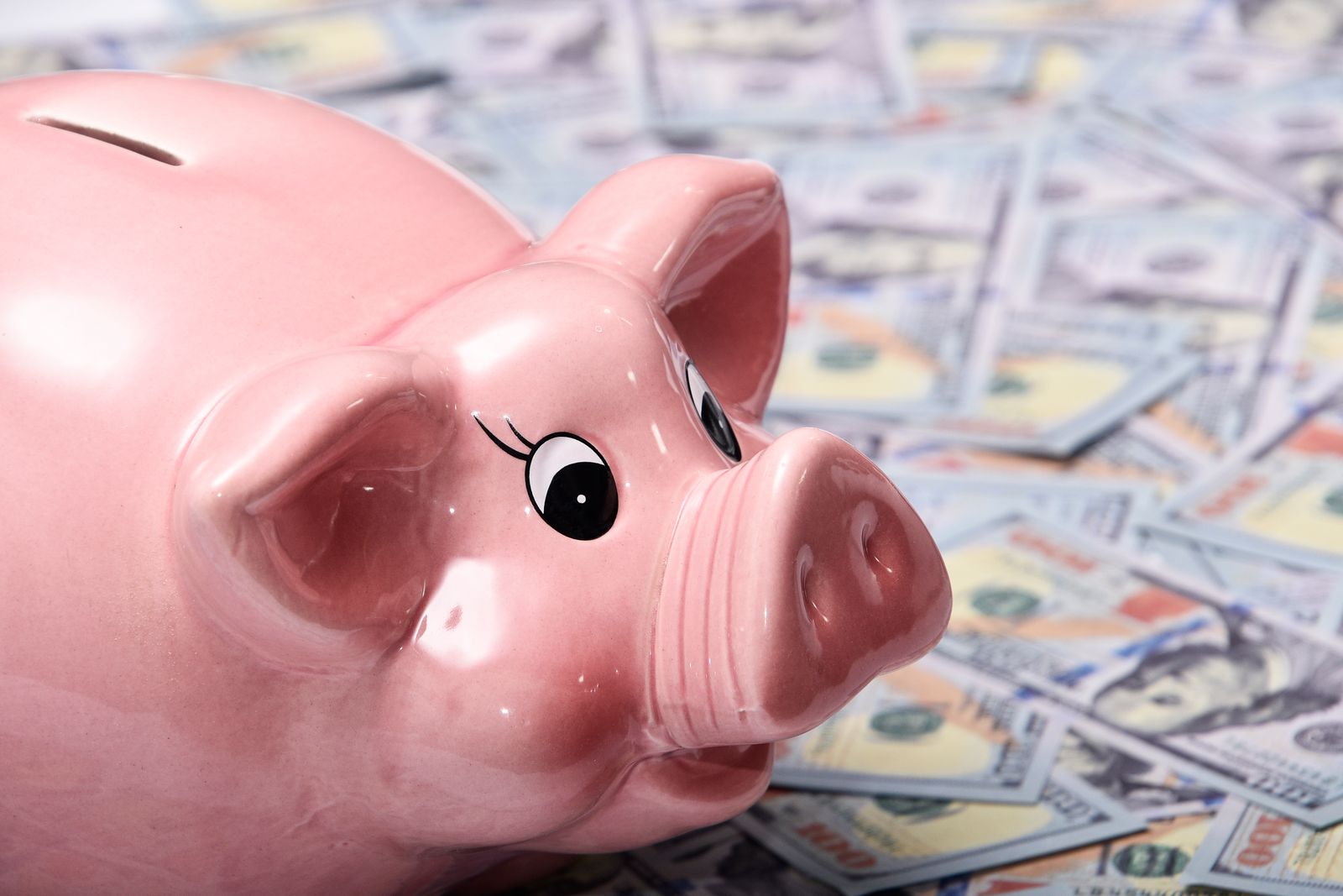 How to Choose the Best Cash Stuffing Binder for Savings Challenges