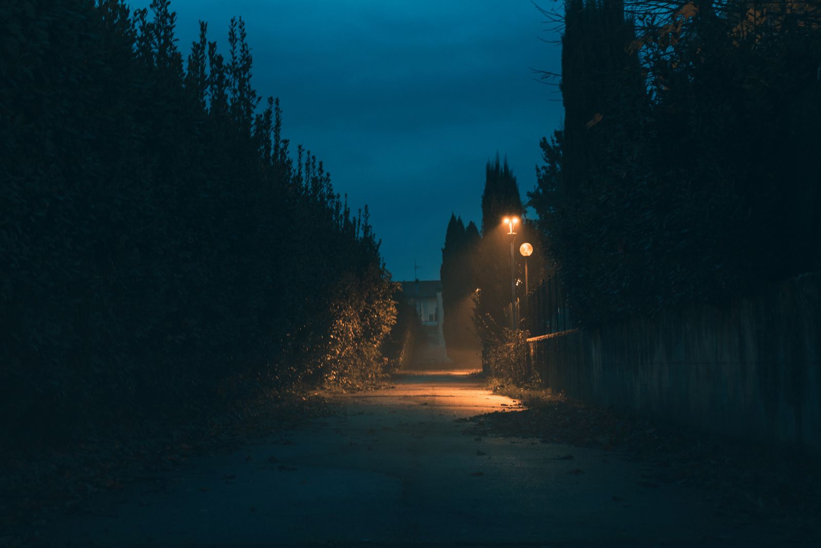 Driveway vs. Footpath Solar Lights: How Placement and Count Differ