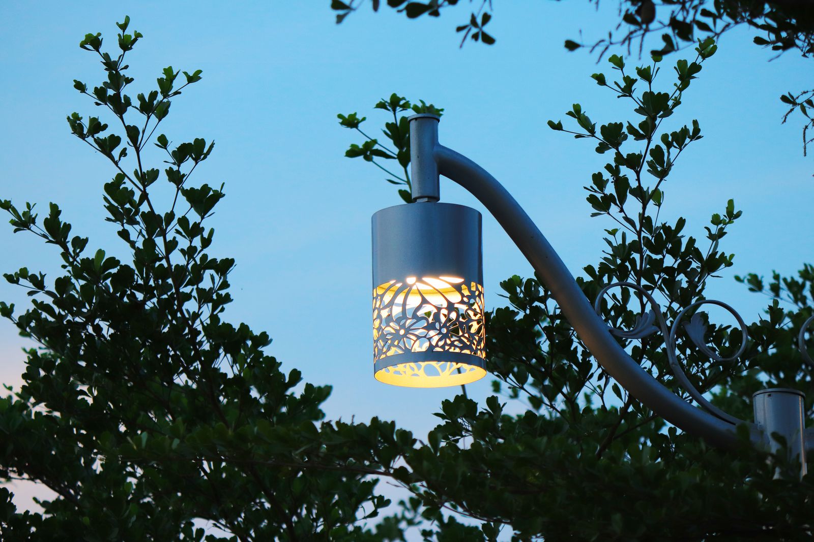 Everything You Need to Know About Automatic Dusk-to-Dawn Solar Sensors