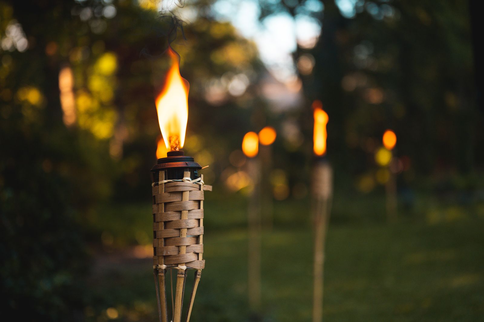 How to Light Dark Garden Pathways and Steps to Prevent Nighttime Trips and Falls