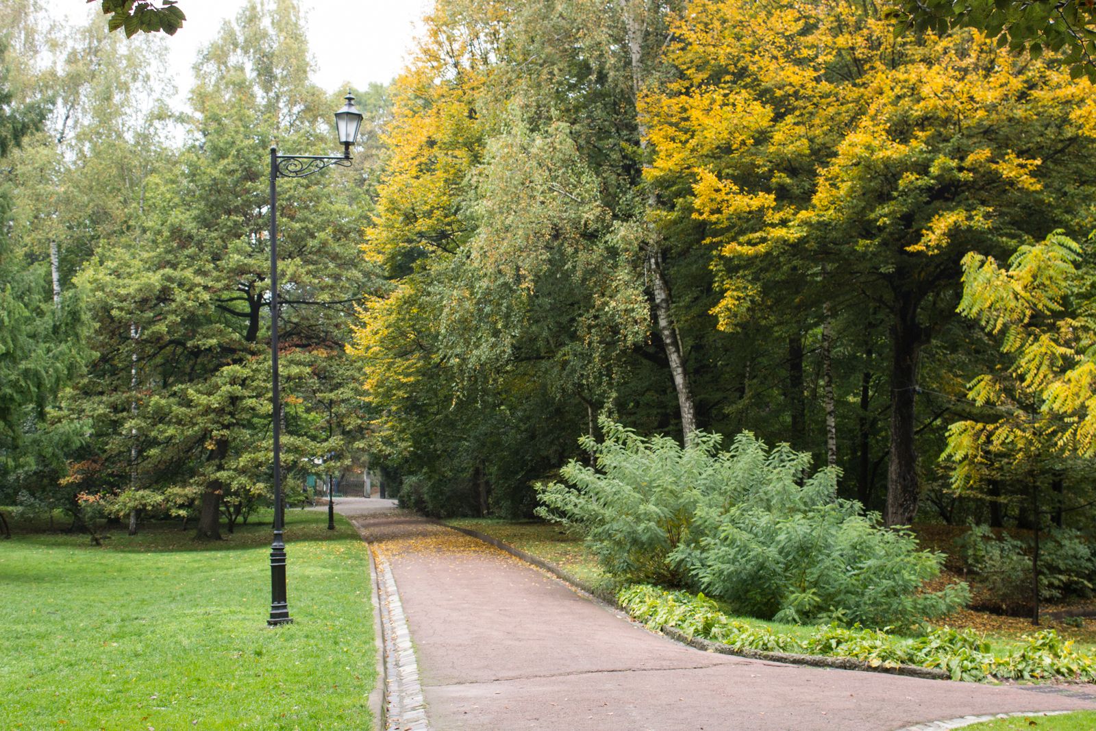 How to Install Solar Pathway Lights for Maximum Brightness and Coverage