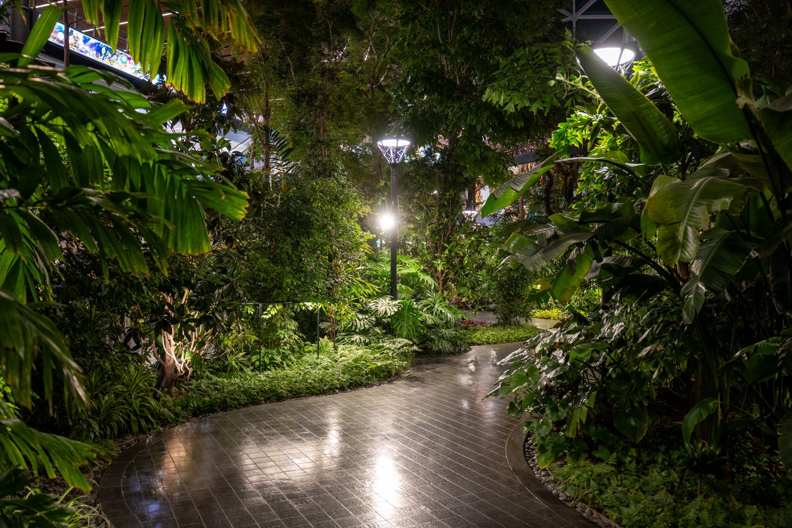 How to Position Solar Pathway Lights in Shaded Garden Areas