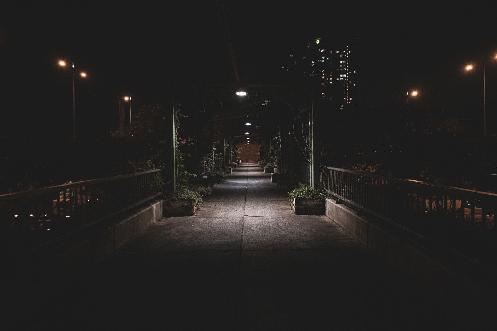 How Many Lumens Do You Need for Solar Pathway Lights? Brightness & Spacing Guide