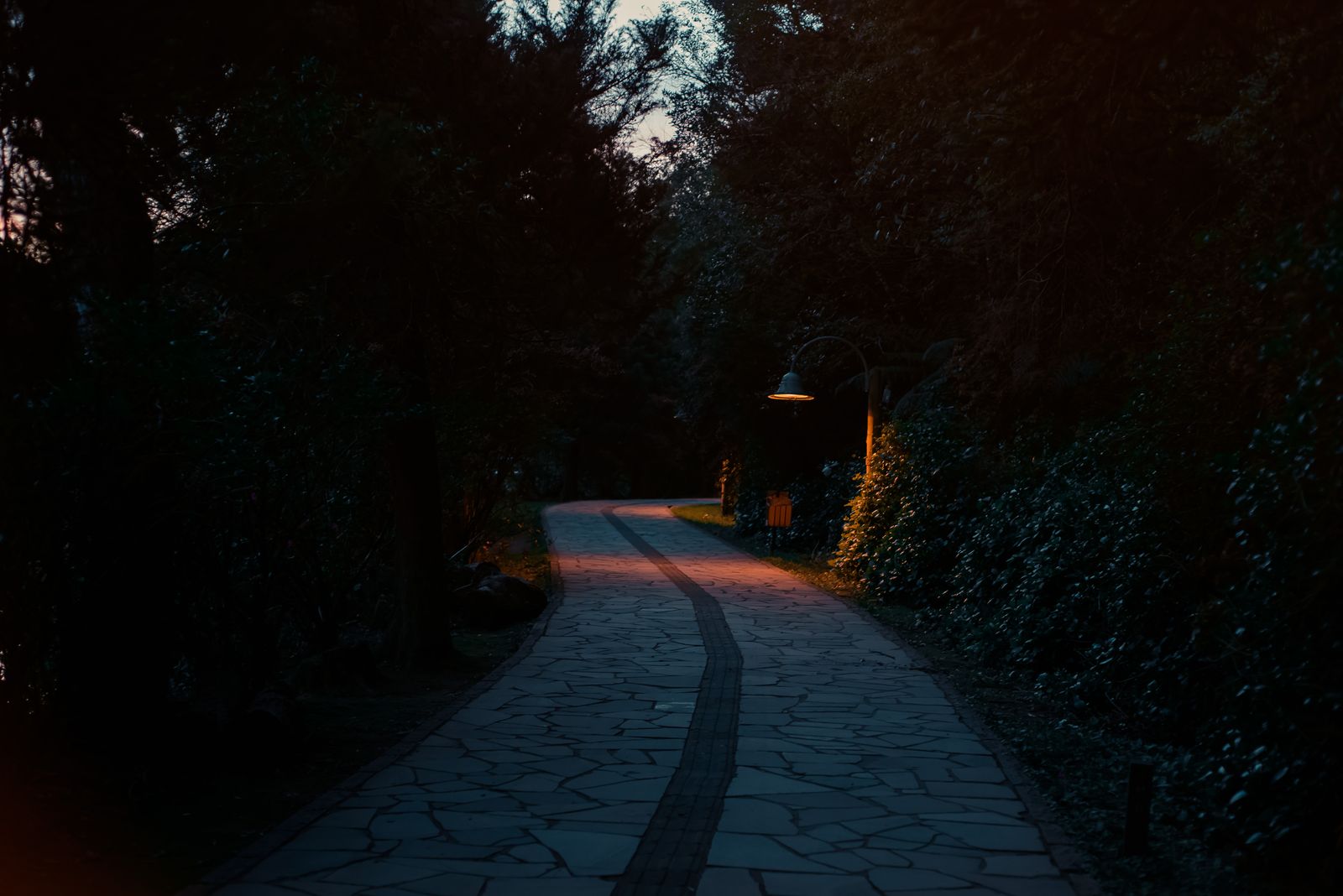 Solar Pathway Light Efficiency Compared: Low-Light Performance Features