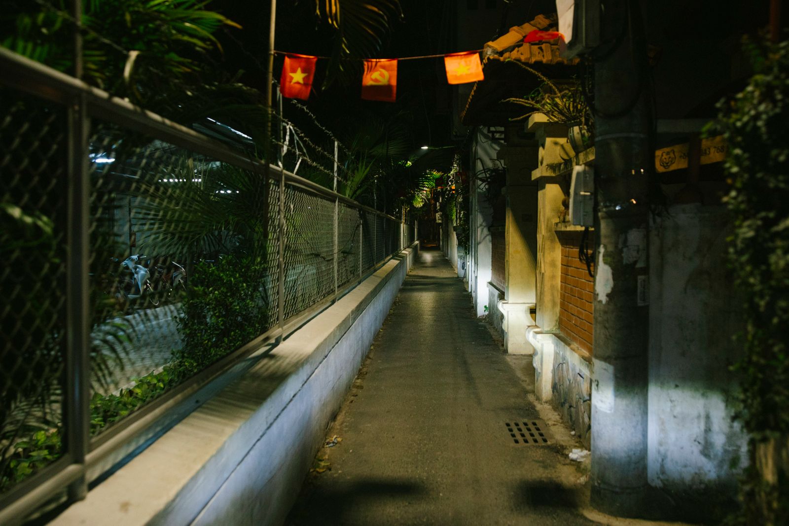 Solar Pathway Lights vs. Hardwired Landscape Lighting: Aesthetics, Cost, and Setup