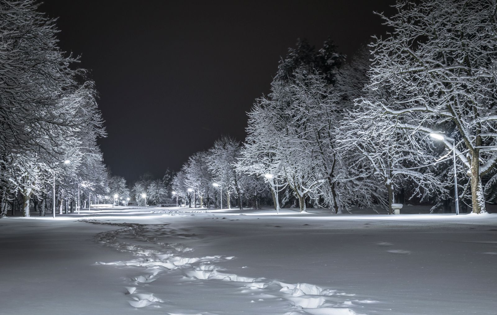 How to Protect Solar Pathway Lights in Winter: Snow & Frost Prep Guide