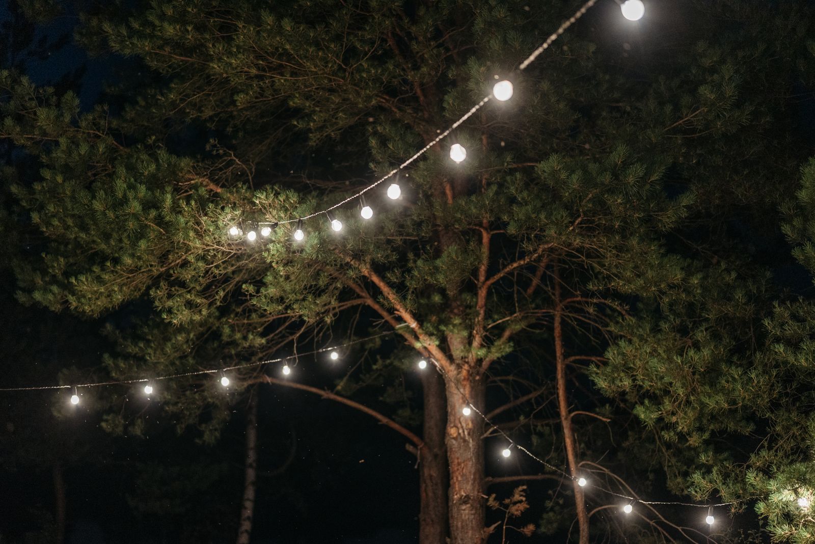 How to Illuminate Outdoor Walkways and Steps to Prevent Nighttime Trips and Falls