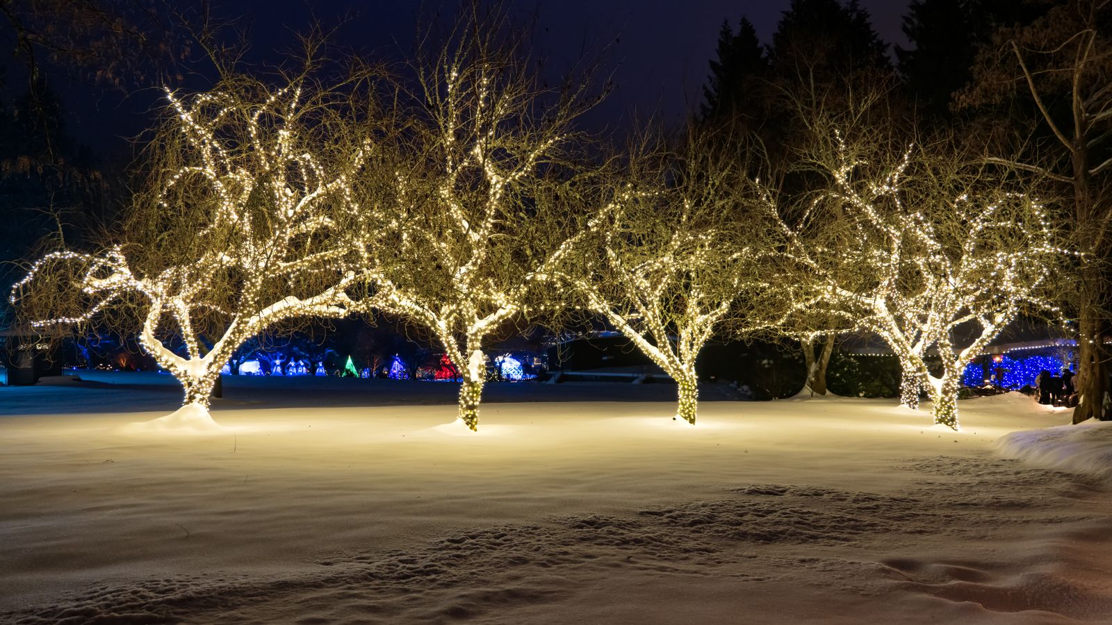 How to Protect Solar Outdoor Lights in Winter (Snow & Freezing Guide)