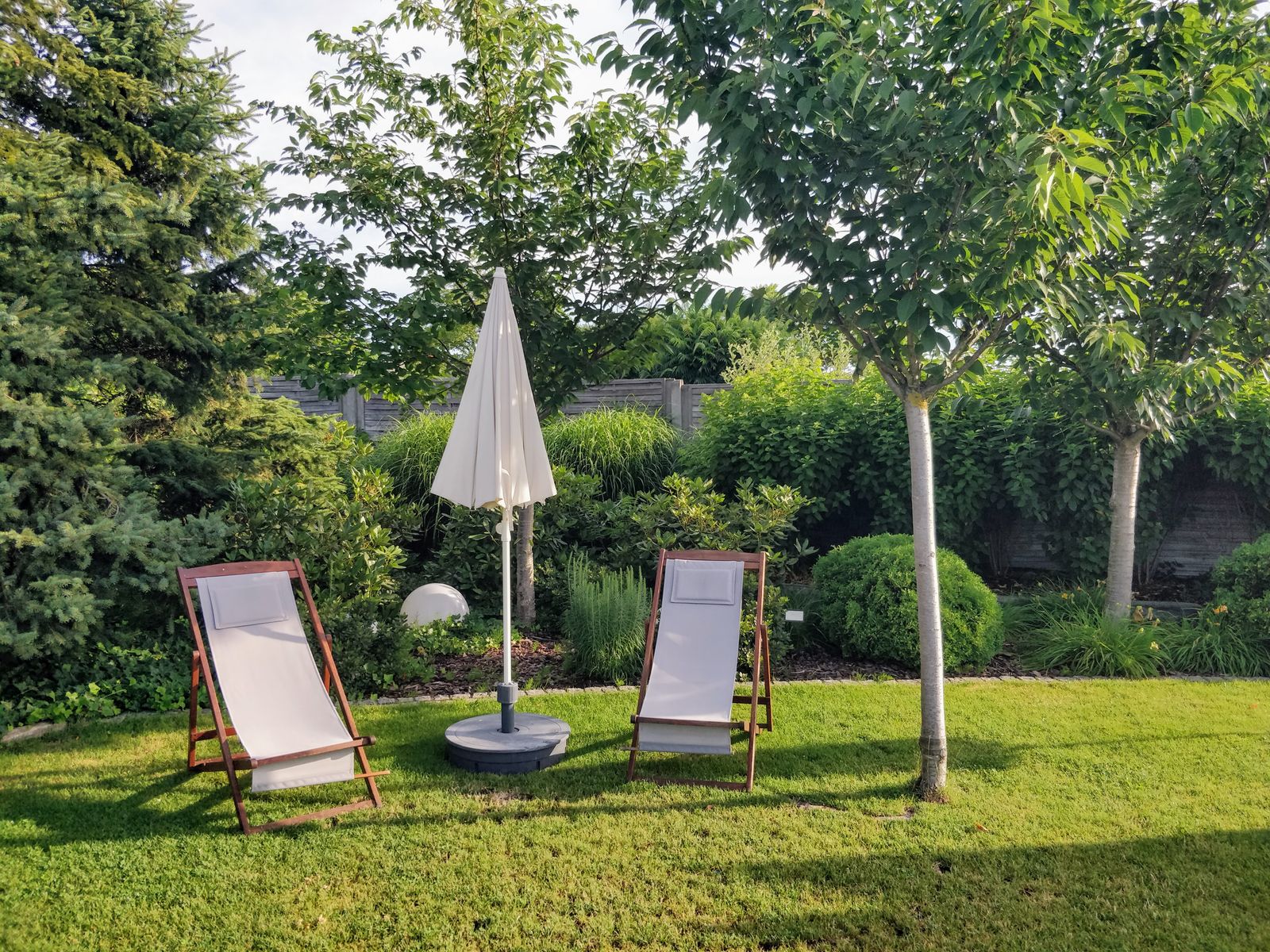 Outdoor Solar Landscape Lighting Placement FAQs: Color Modes, Angles, and Distance