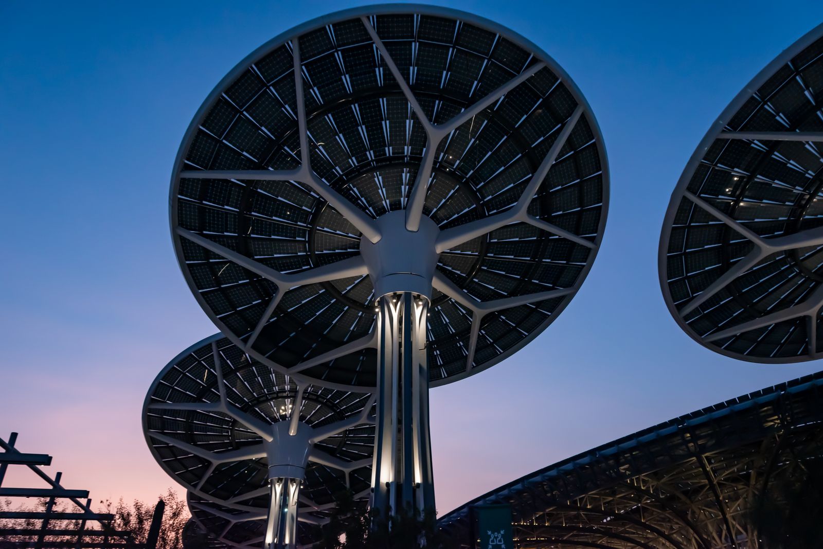 Aesthetic Accent Lighting vs. Security Lighting Color Temperature: The Ultimate Smart Solar Spotlight Setup Guide