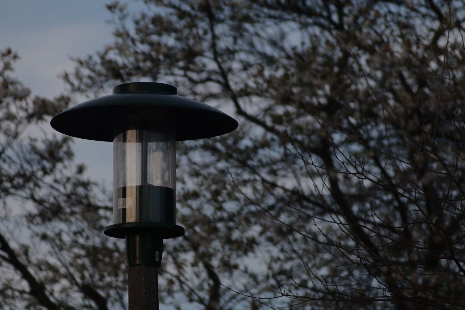 Dusk-to-Dawn Sensor Optimization & Placement Guide for Perimeter Solar Post Lights