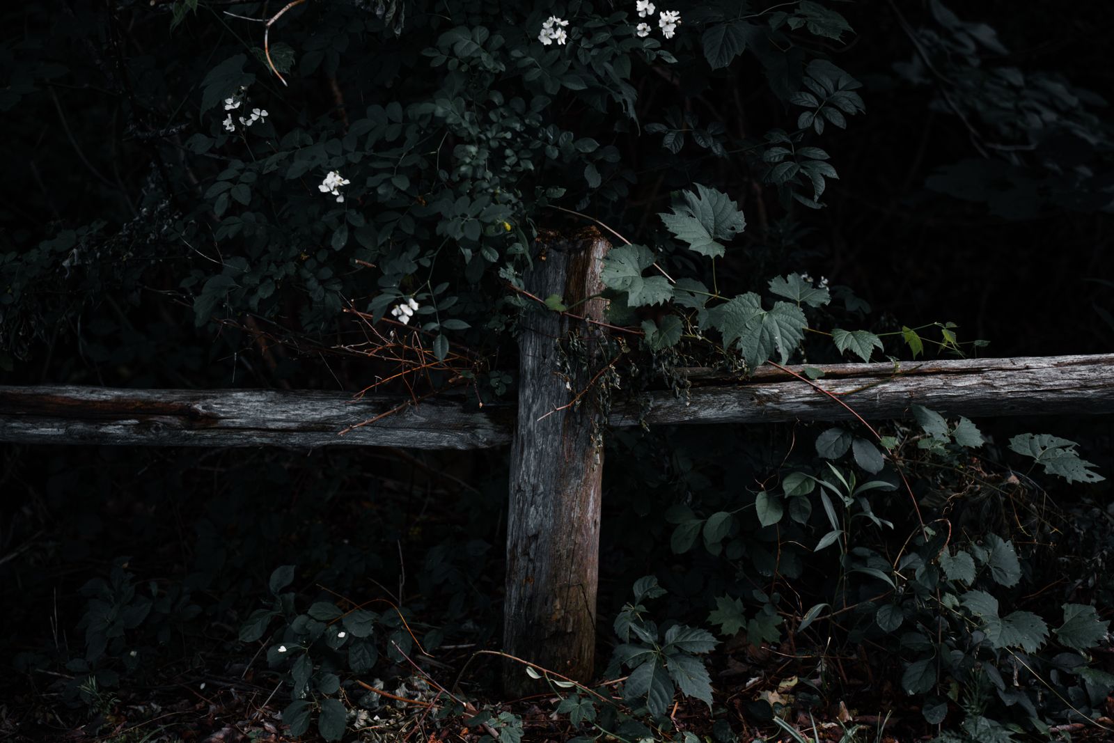 Strategic Fence Lighting: How to Eliminate Dark Spots Along Your Property Line