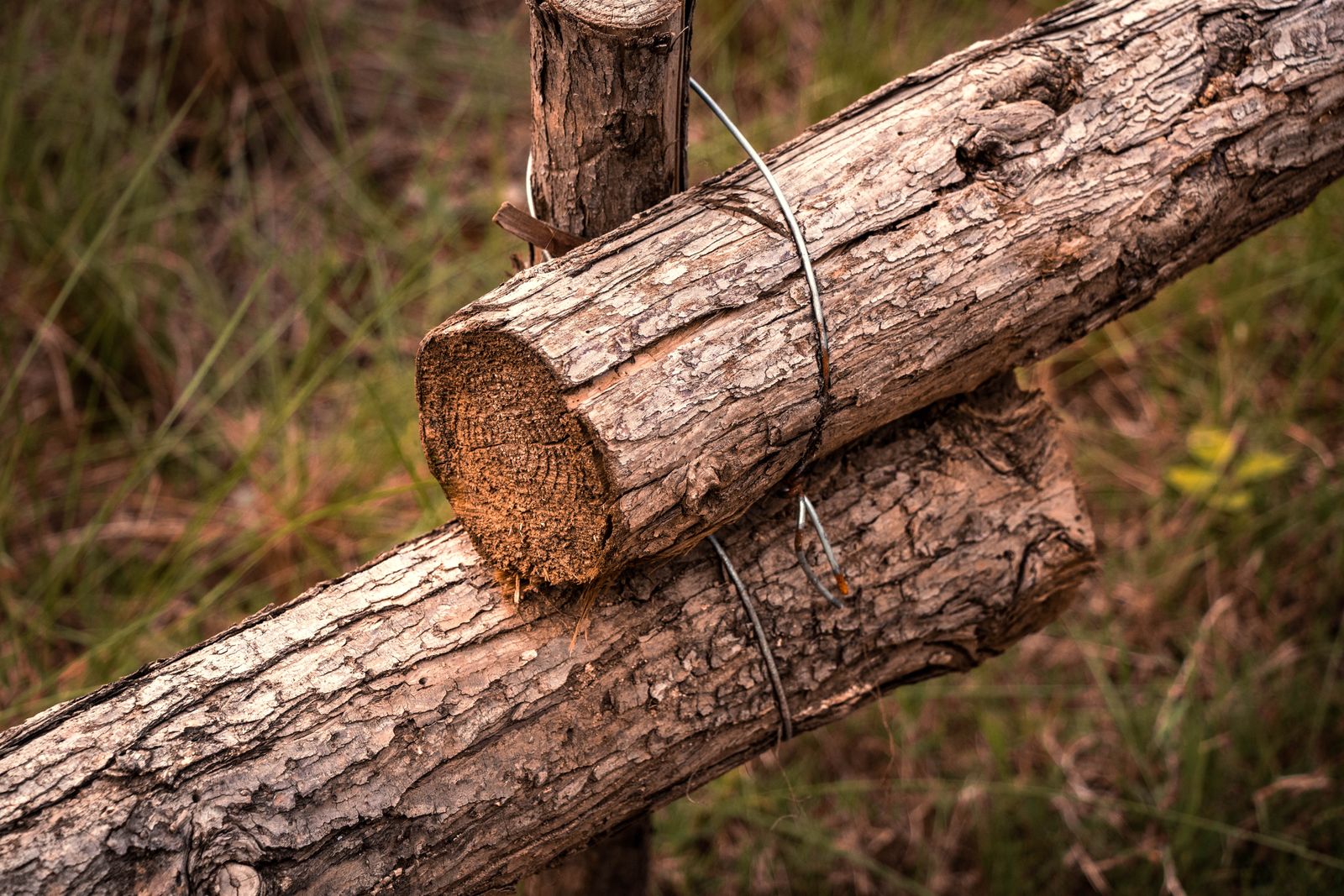 Shared Boundary Fence Lighting: How to Coordinate With a Neighbor