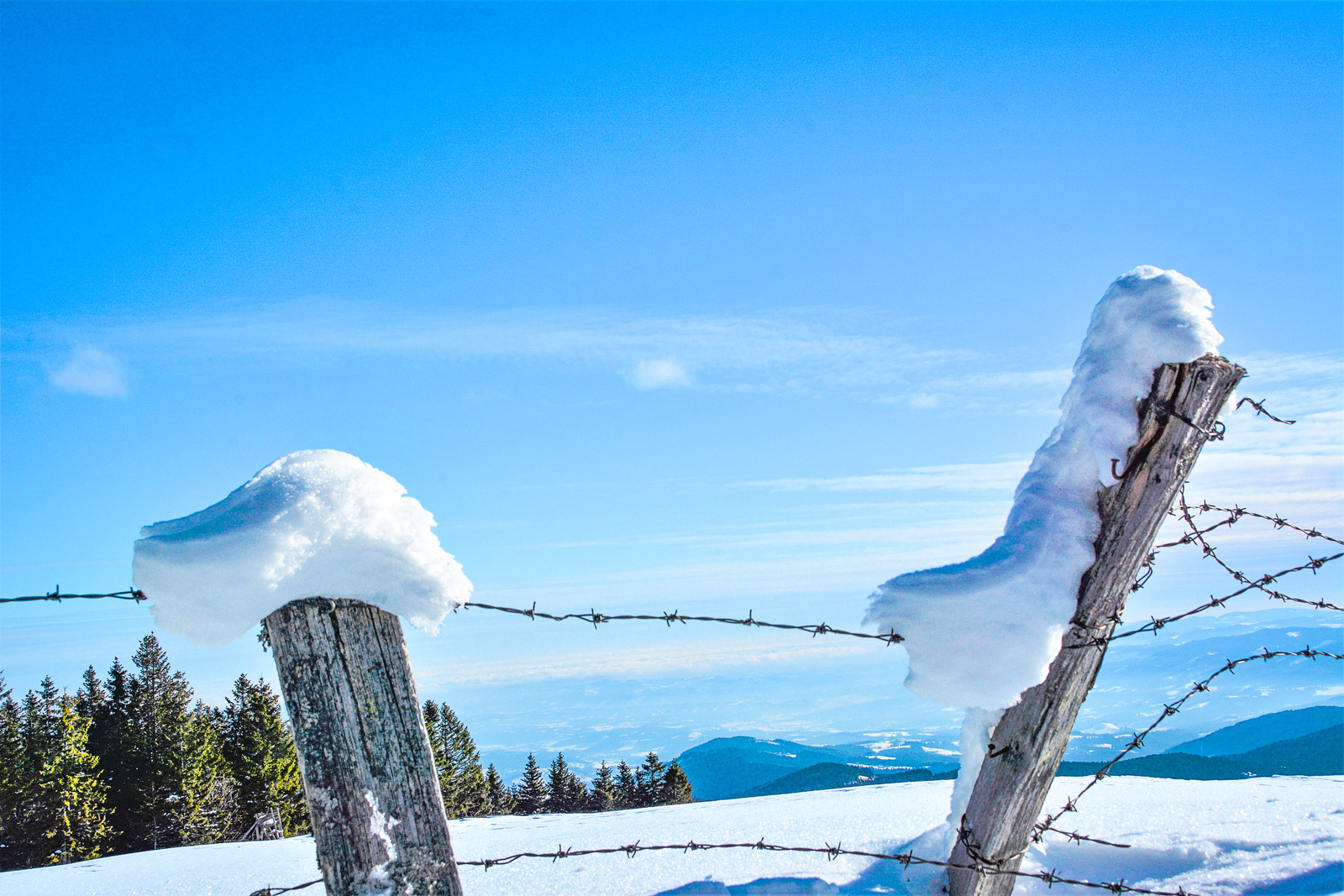 How to Protect Your Solar Post Cap Lights During Winter Snow and Frost