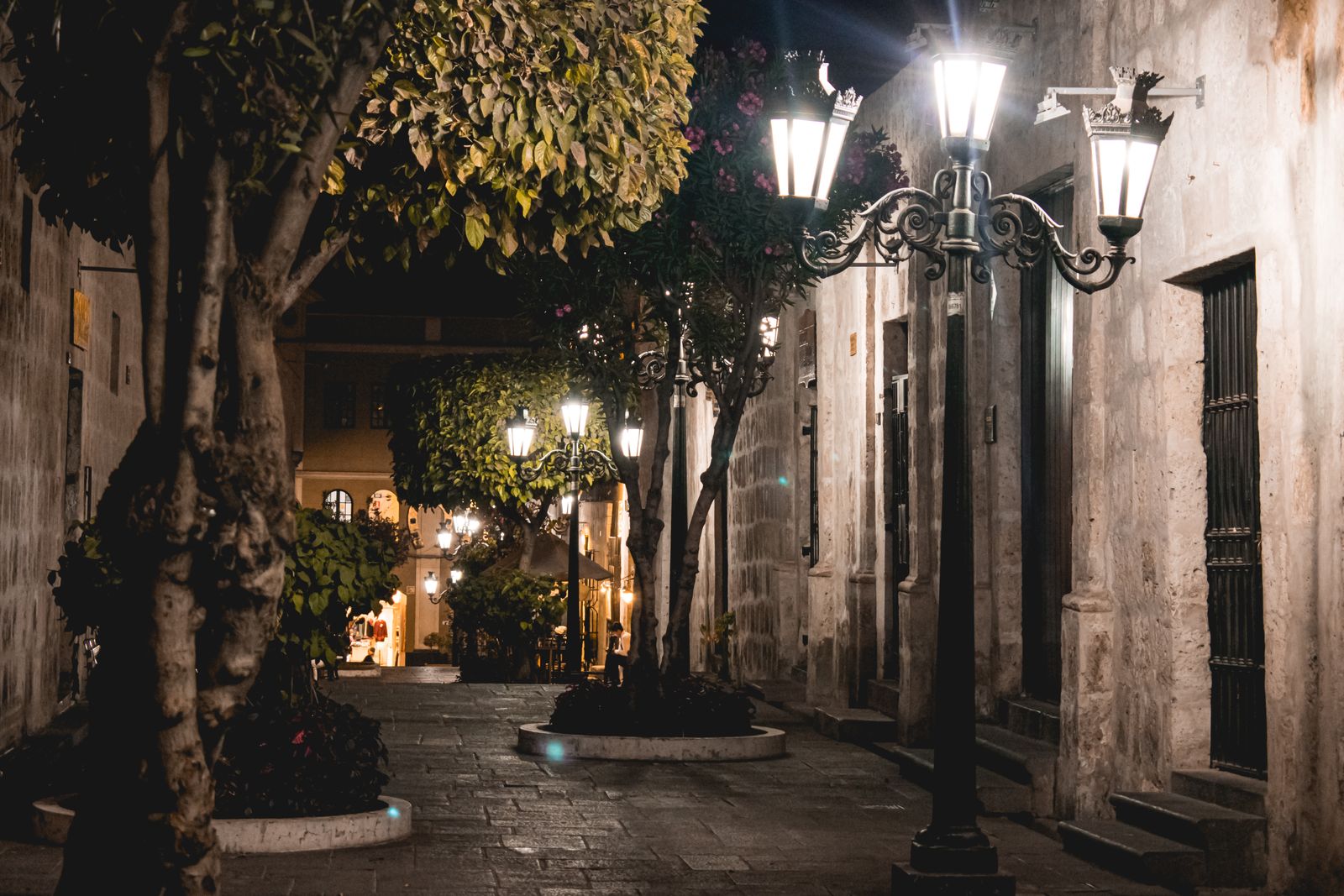 Solar Firefly Lights vs. Wired Low-Voltage Lighting: Cost, Labor, and Aesthetic Comparison