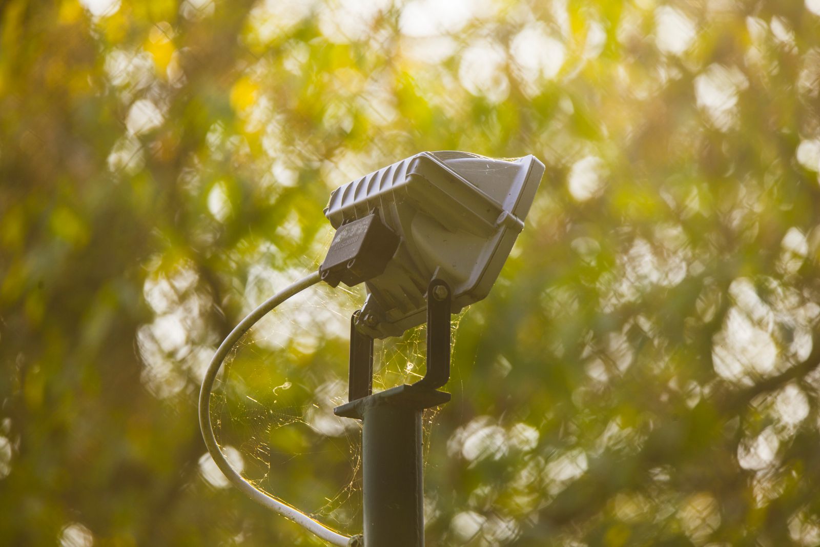 Solar Post Cap Light First-Time Setup & Pre-Installation Charging Guide