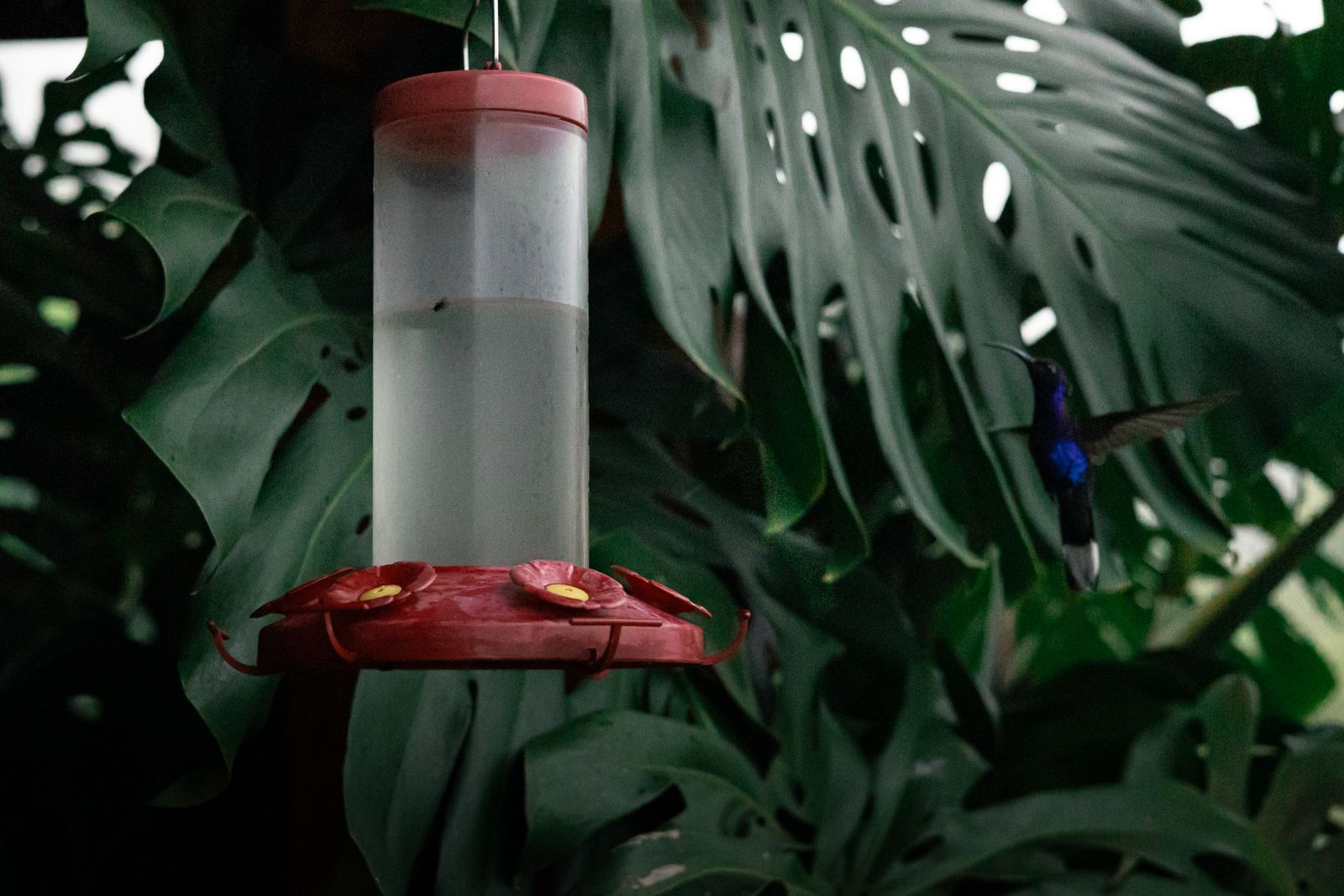 Best Hand-Blown Glass Garden Decor: 2024 Buying & Light-Play Guide