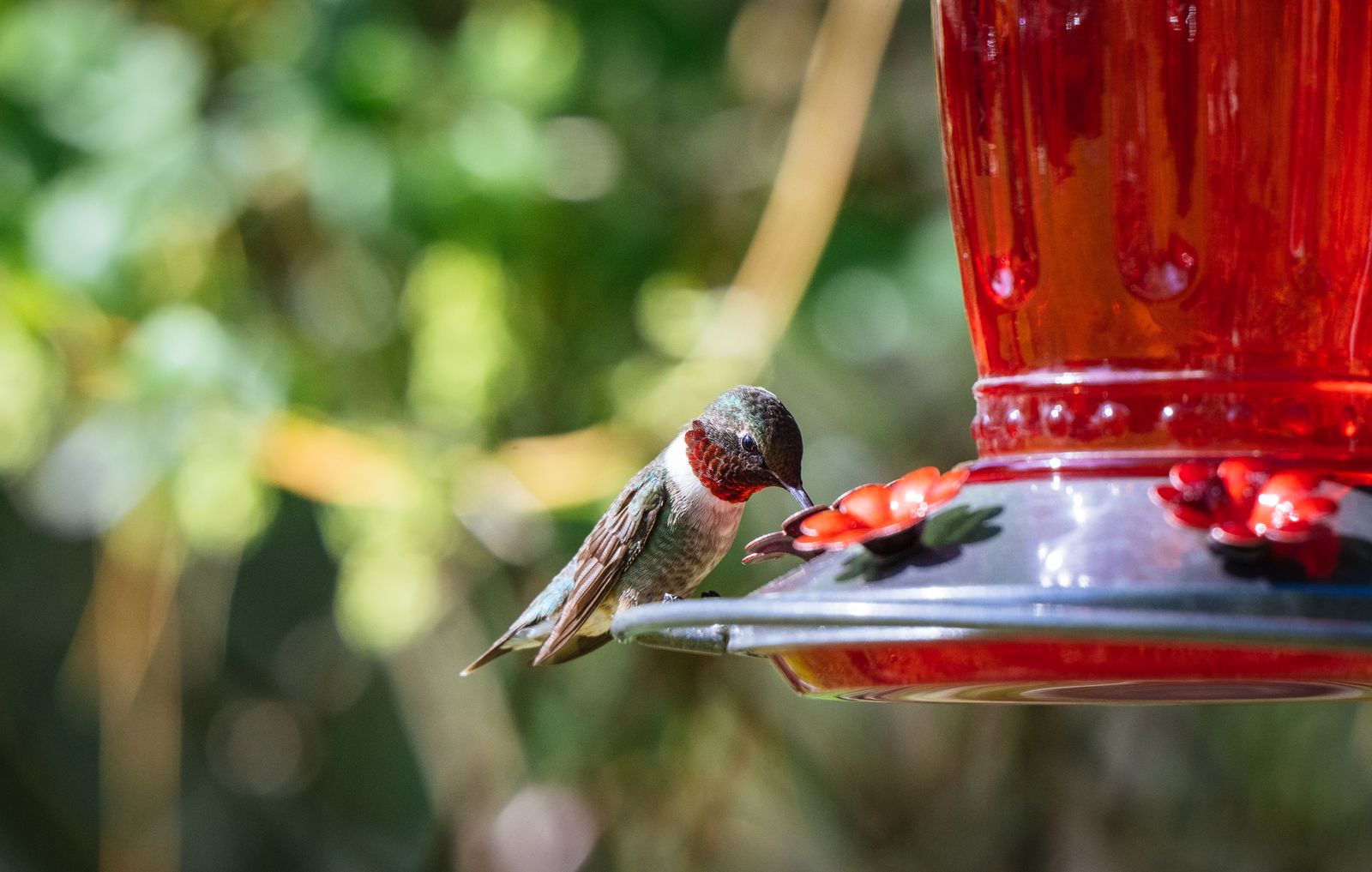 How to Choose Authentic Hand-Blown Glass Garden Decor: A Buyer's Guide