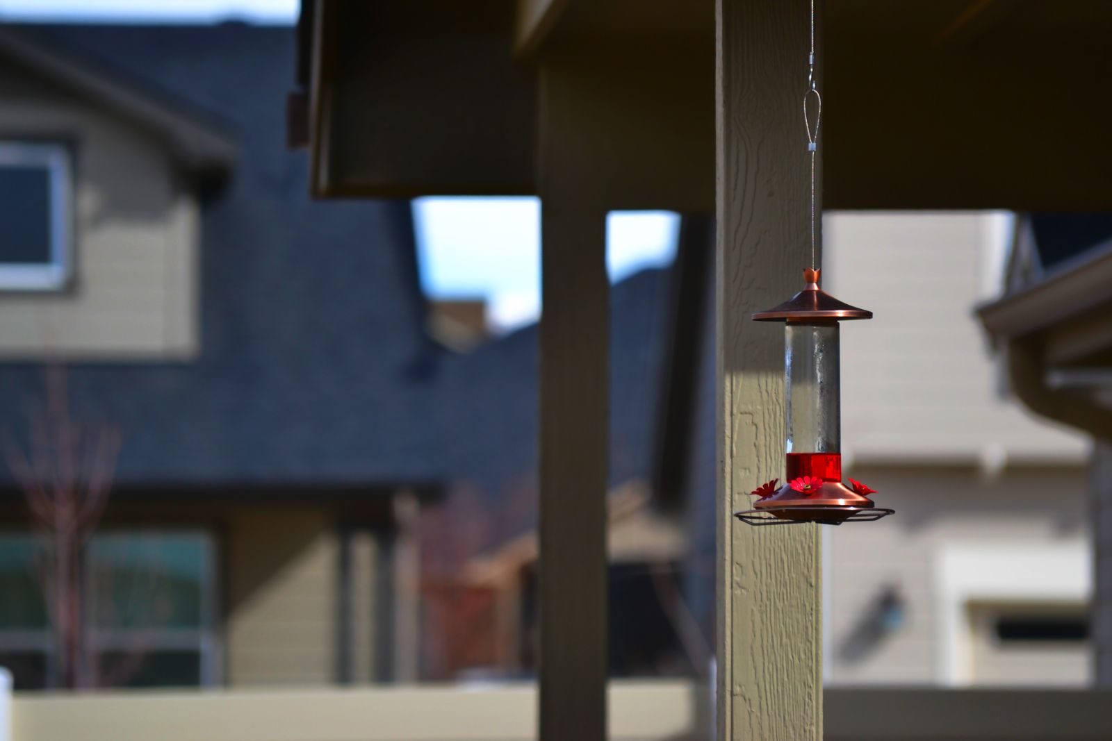 Illuminate Summer Evenings: How RGB Solar Glass Feeders Elevate Nighttime Patio Aesthetics