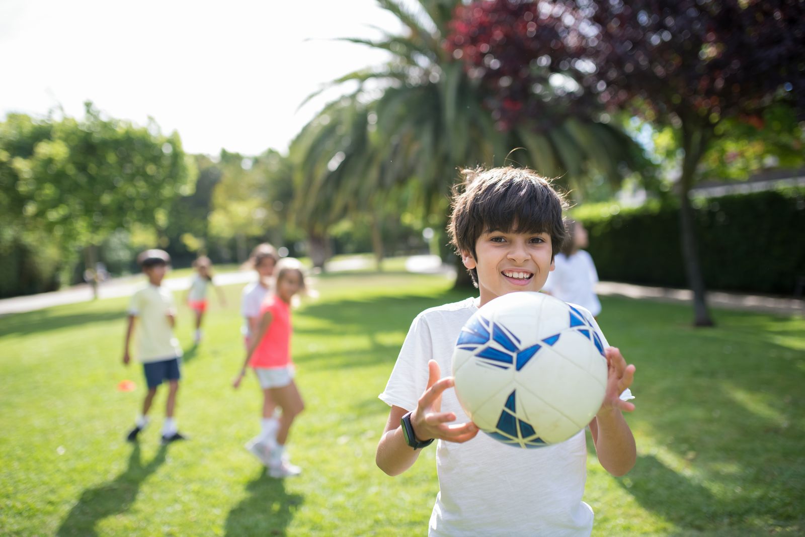 Safest Indoor Sports Toys for Hardwood Floors: A Parent's Buyer Guide