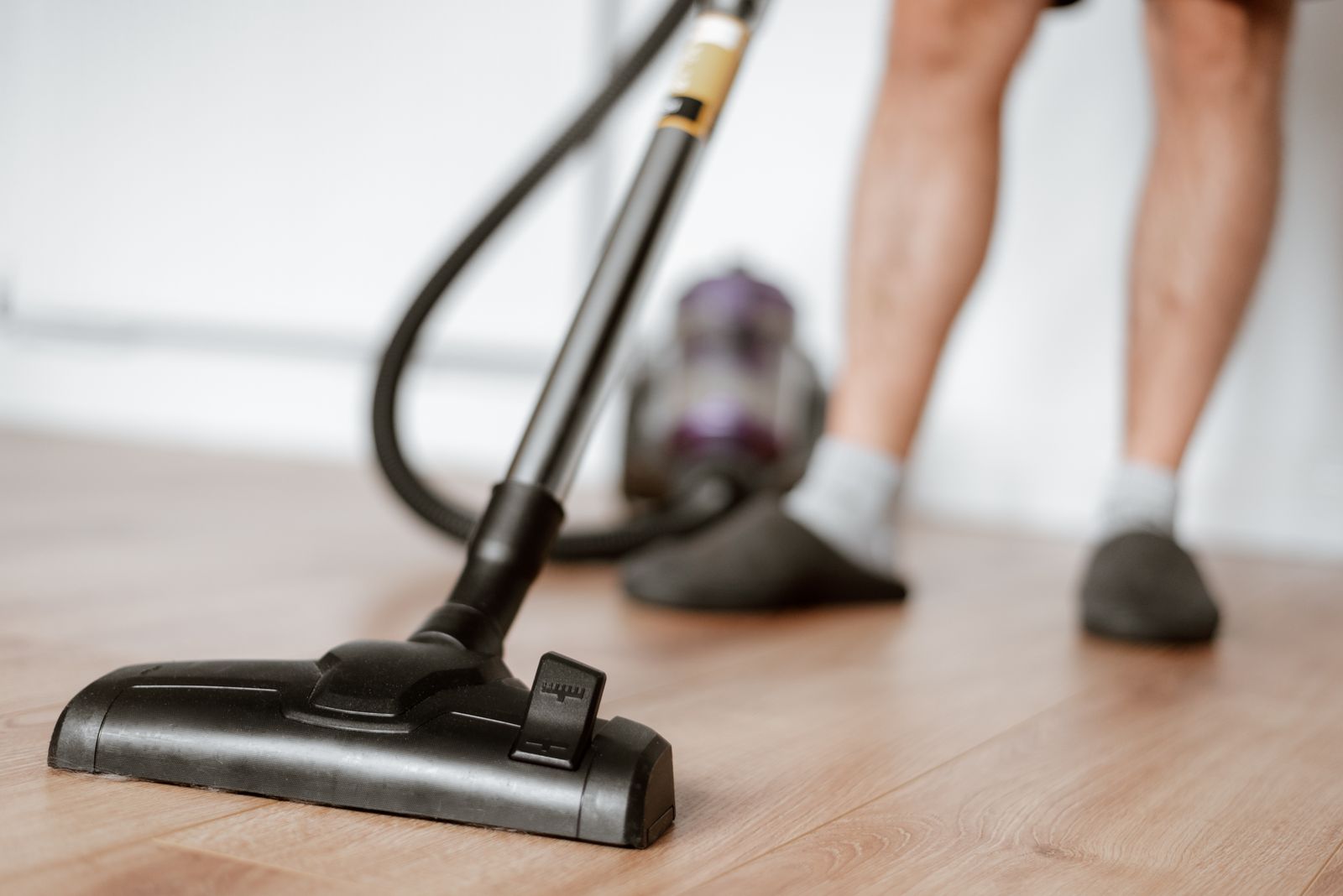 Best Portable Car Vacuums for Pet Hair: Features to Look For