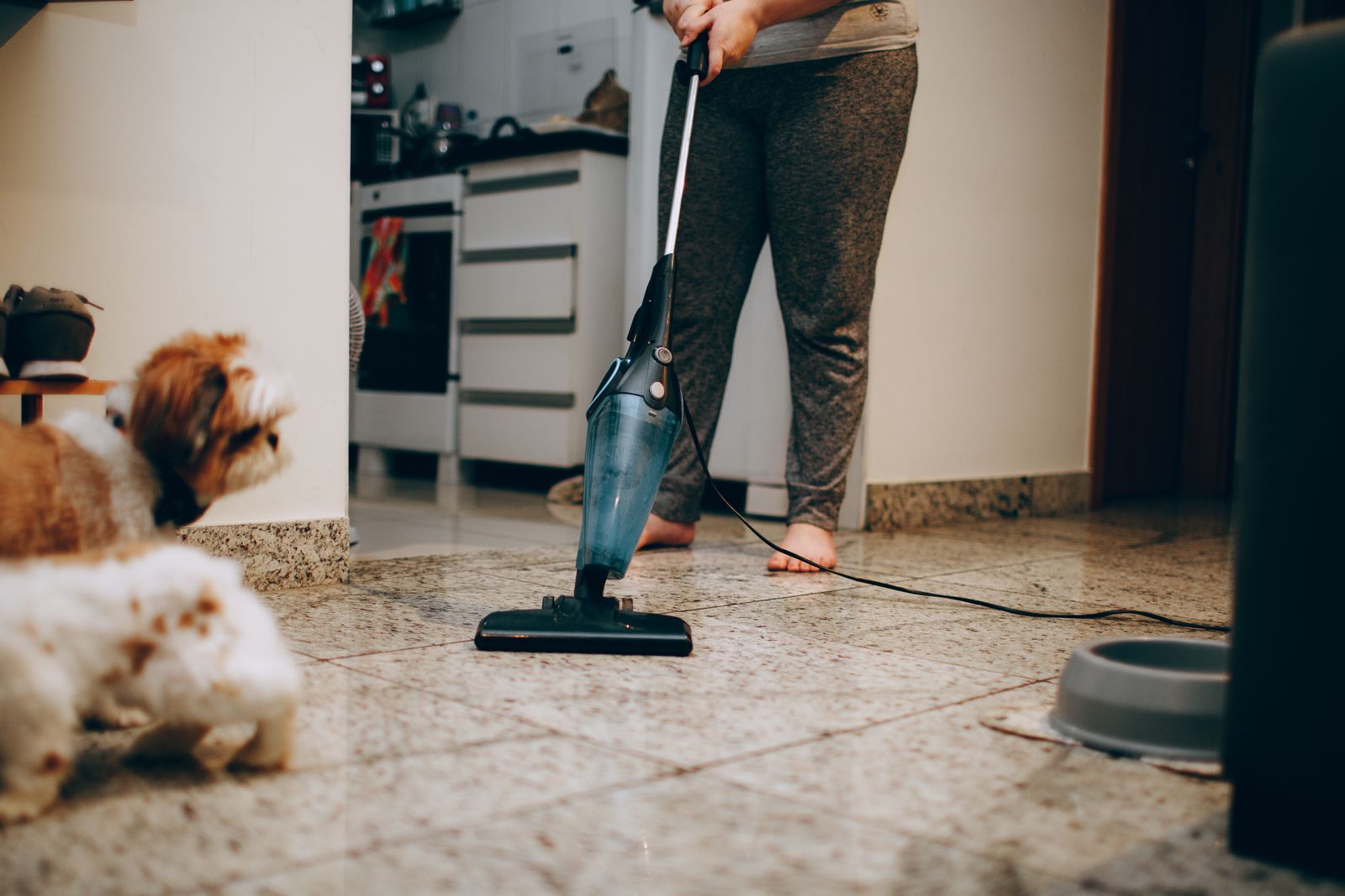 How to Remove Deeply Embedded Dog Hair from Car Upholstery & Floor Mats