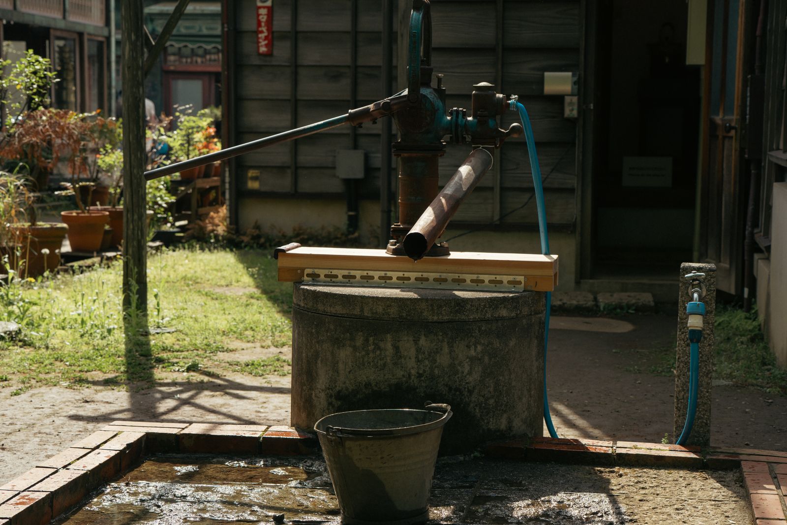 How to Attract Birds to Your Bird Bath: The Ultimate Garden Guide
