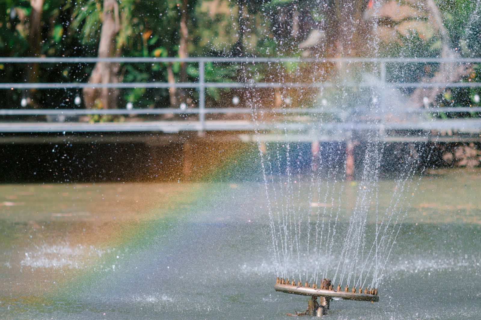Stop Replacing Bird Baths: Solve Stagnant Water Problems