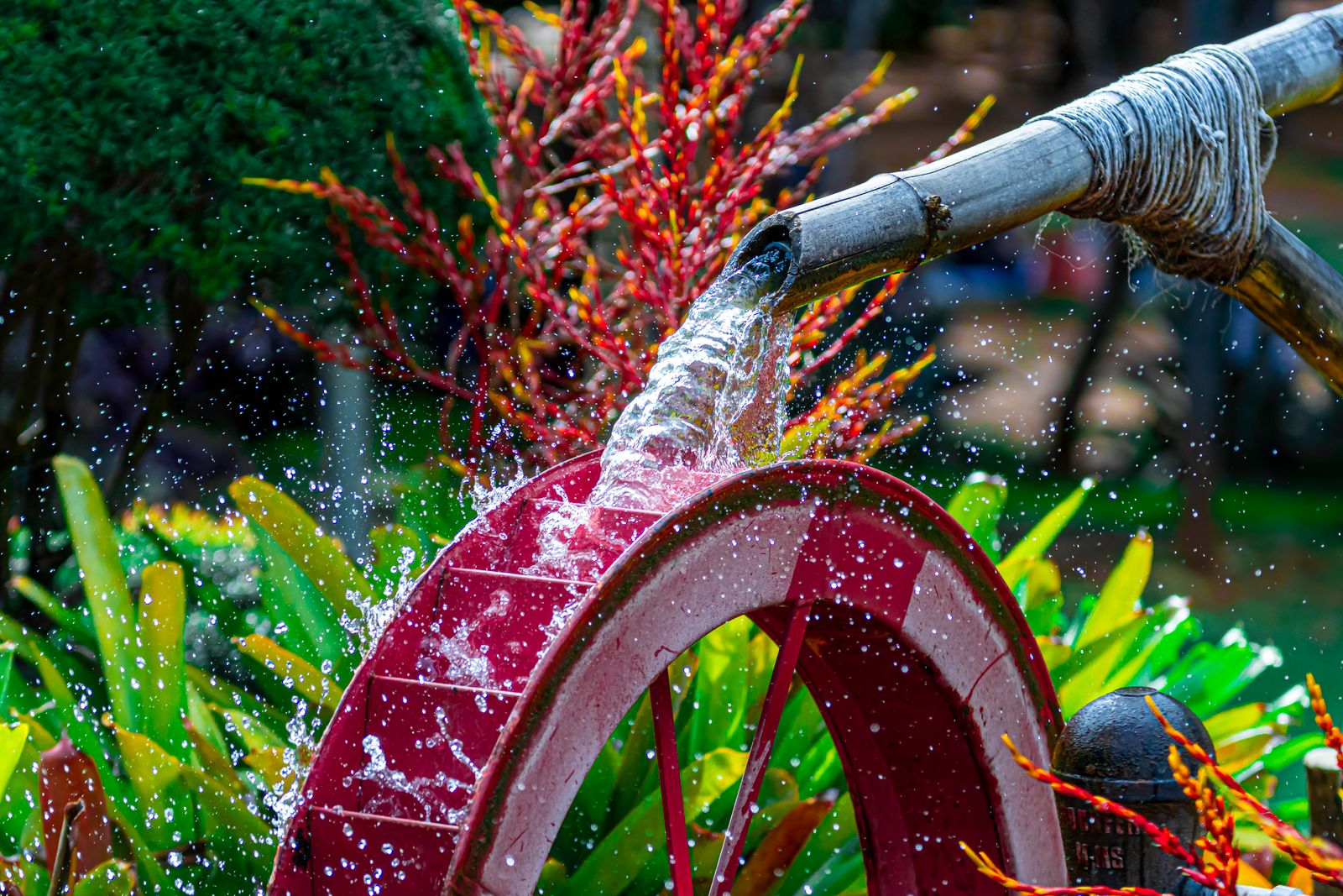 Why Moving Water Attracts Birds to Garden Baths