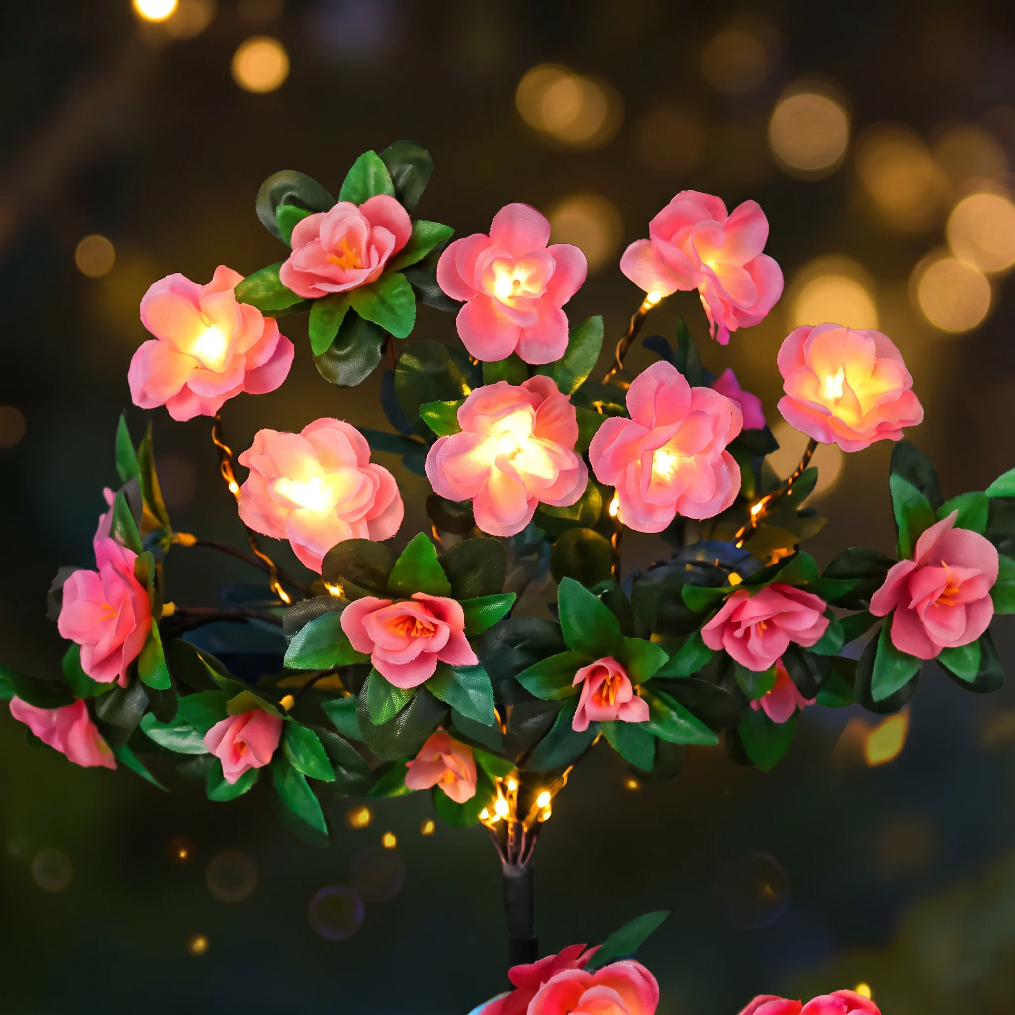 Azalea blooms glowing from within after dark