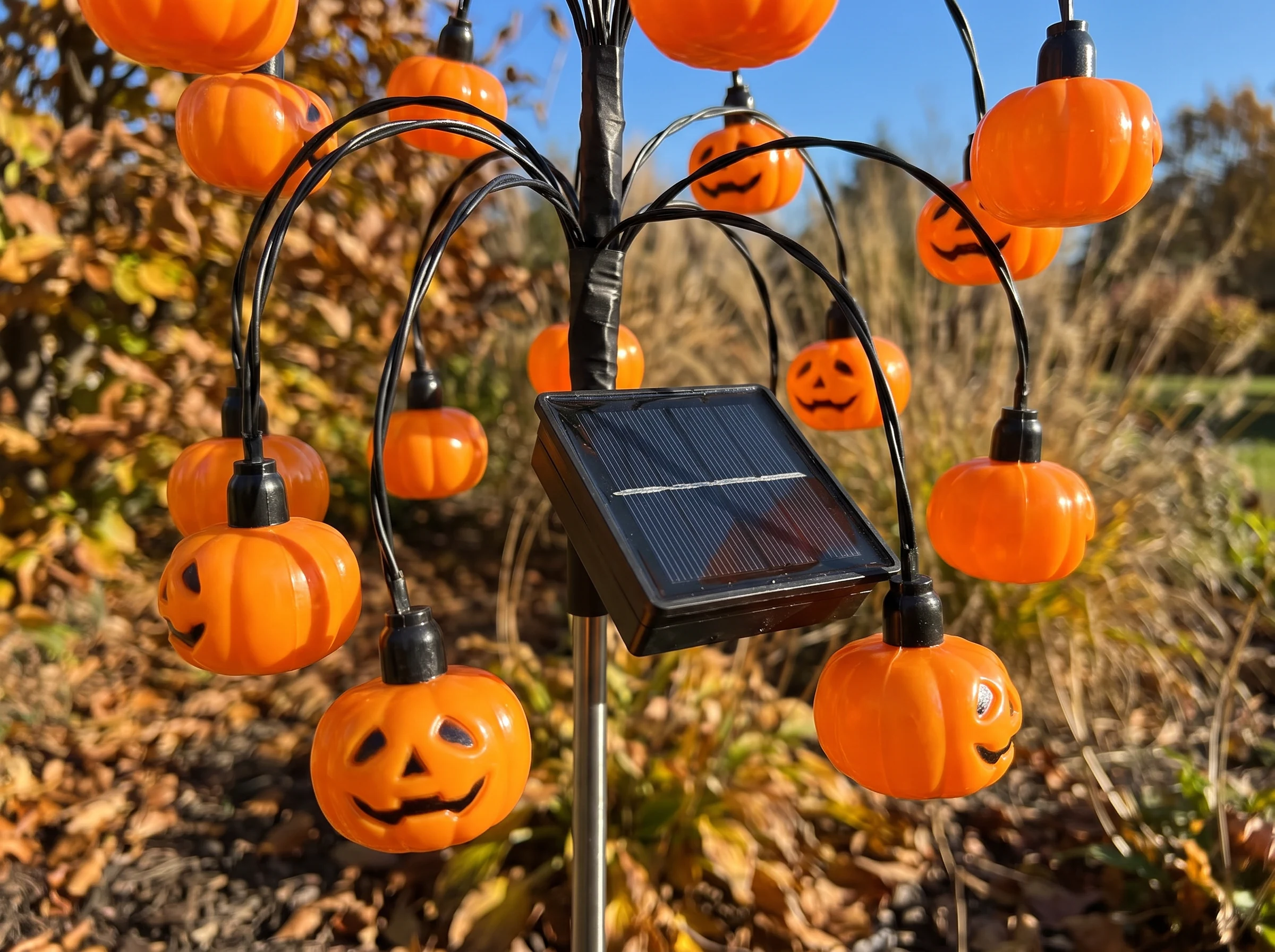 Close view in bright daylight of the small solar panel at the centre of the branch spray, angled up to the sun, with unlit pumpkin bulbs around it