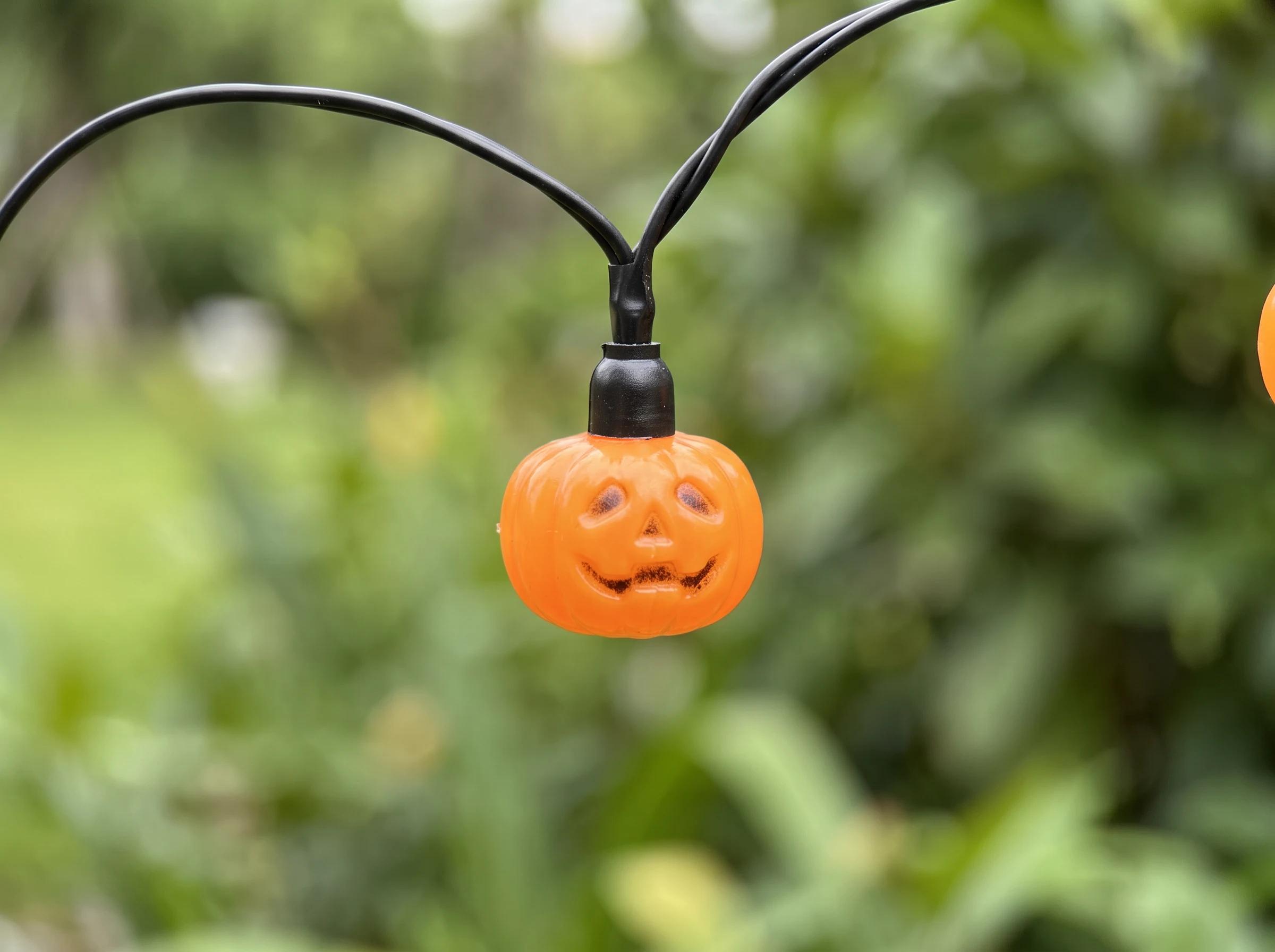 Extreme close-up of a single unlit mini jack-o'-lantern bulb on its branch tip, showing the moulded carved face and the fitting where it joins the branch