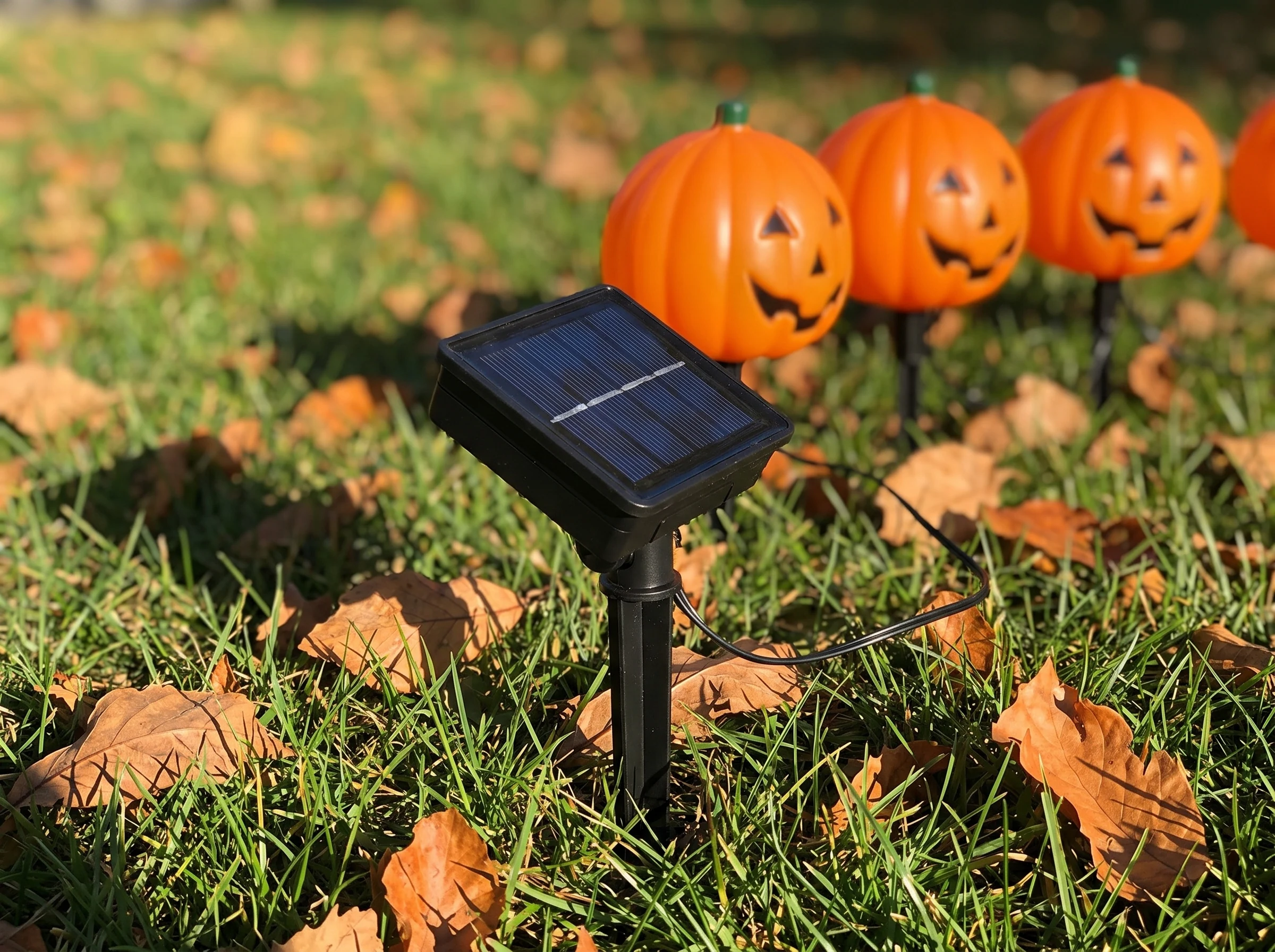 Close view of the small square solar panel on its own spike in the lawn, angled up to catch direct afternoon sun, wire running off to the pumpkin lights