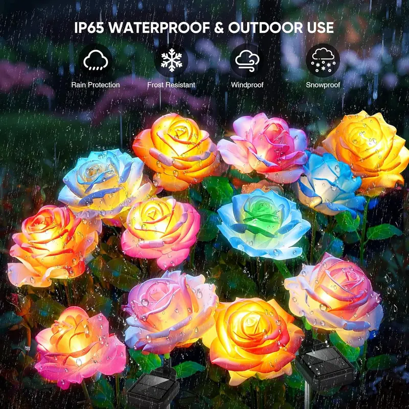 Solar roses thumbnail 3