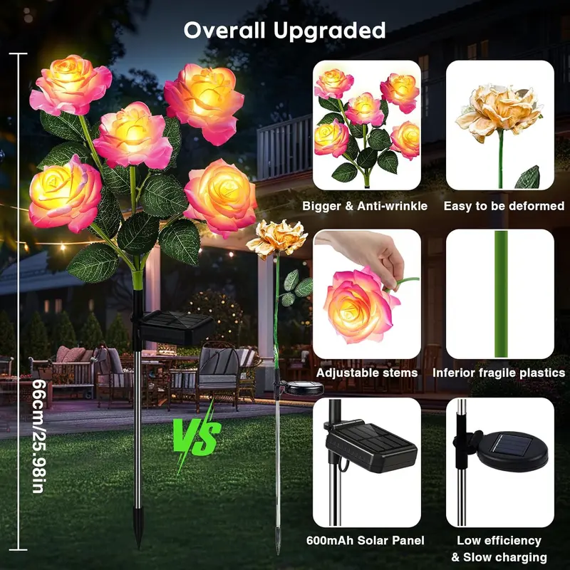 Solar roses thumbnail 4