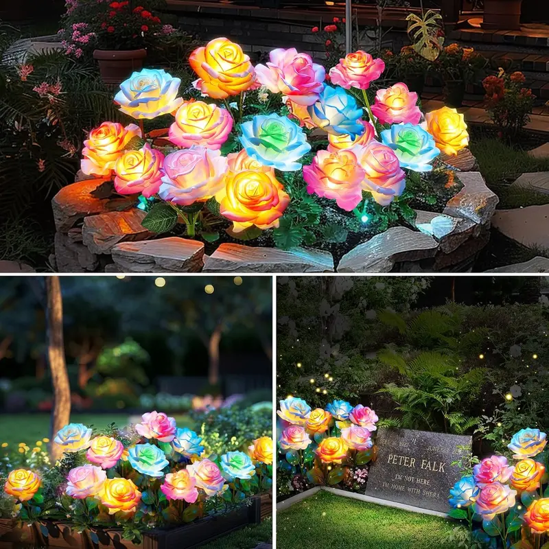 Solar roses thumbnail 6