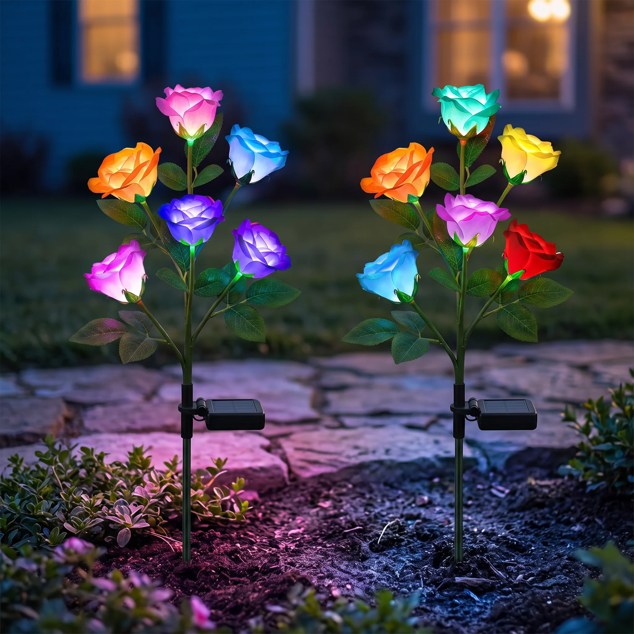 solar Glow Roses