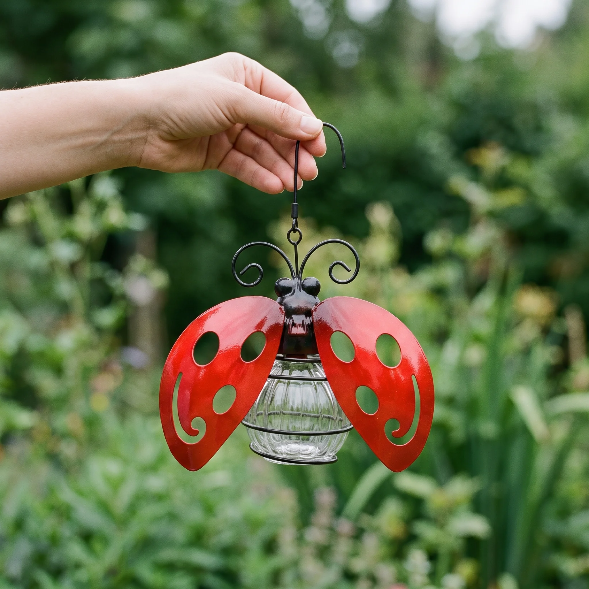Ladybug light shown in scale on a branch