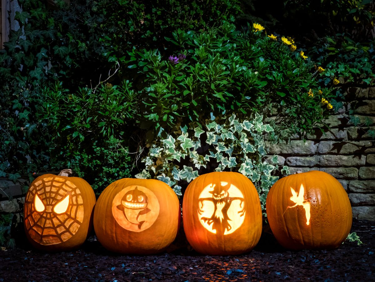 Four carved Halloween pumpkins glowing brightly in a garden setting at night, perfect for spooky seasonal decor.