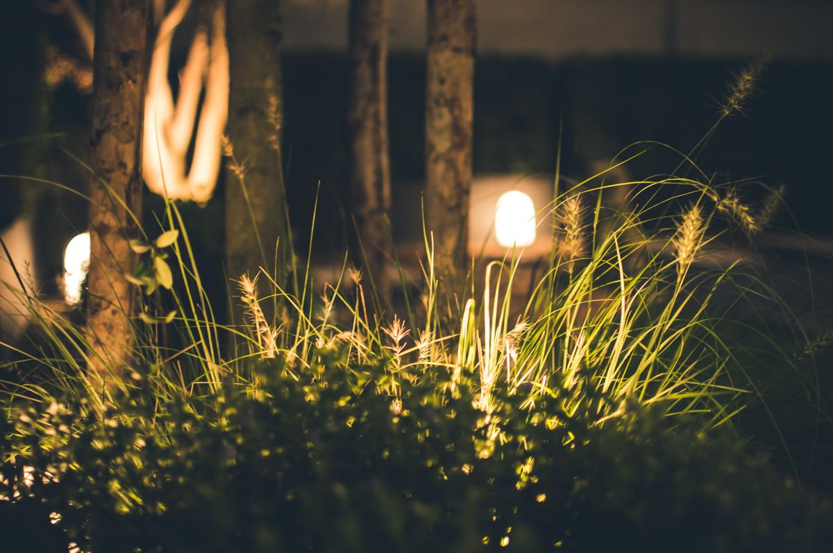 A tranquil garden scene at night featuring softly illuminated grass and trees, creating a serene atmosphere.