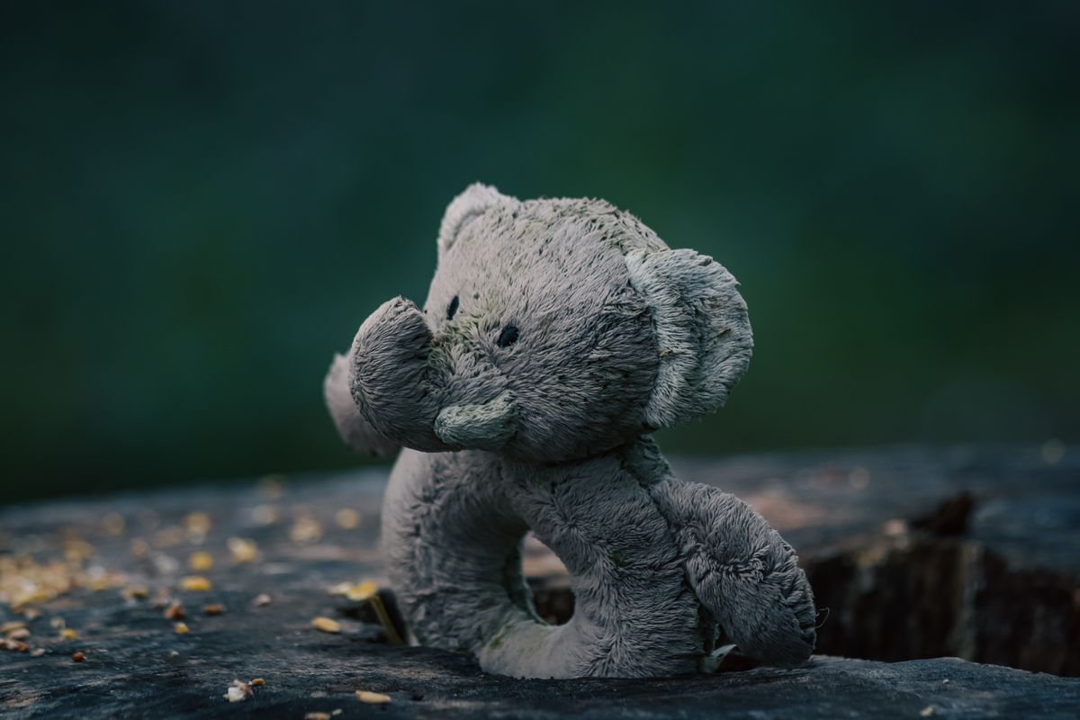 Soft elephant plush toy sitting on a weathered tree stump, outdoors.