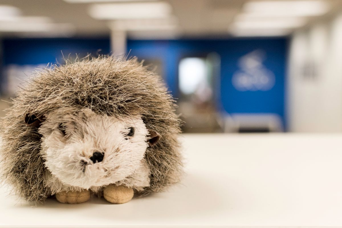 Close-up of a plush hedgehog toy on a white table with blurred office background.