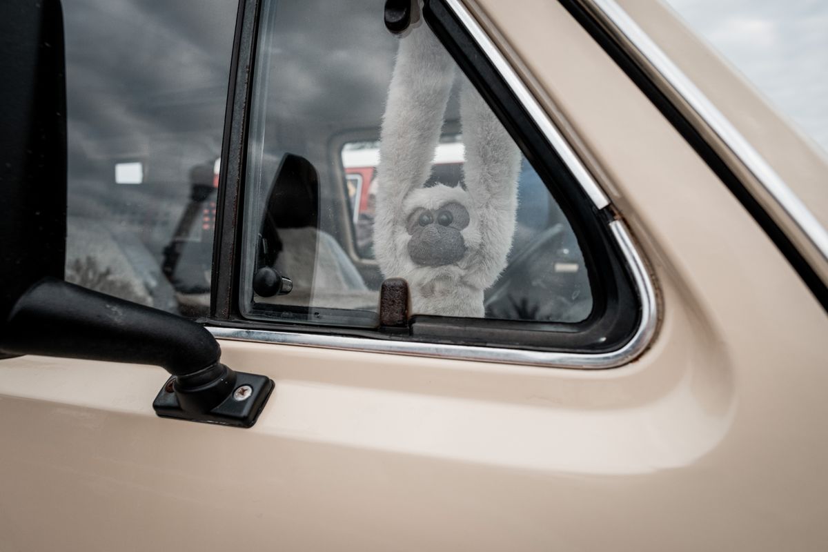 Fun image of a stuffed monkey toy hanging from a car window, captured from outside.