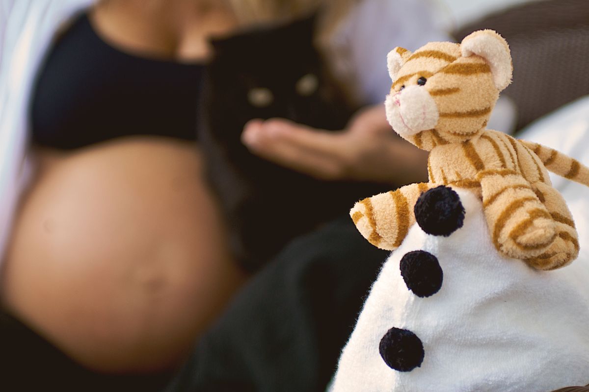 Pregnant woman relaxing with a cat and plush toy, symbolizing maternal warmth and anticipation.