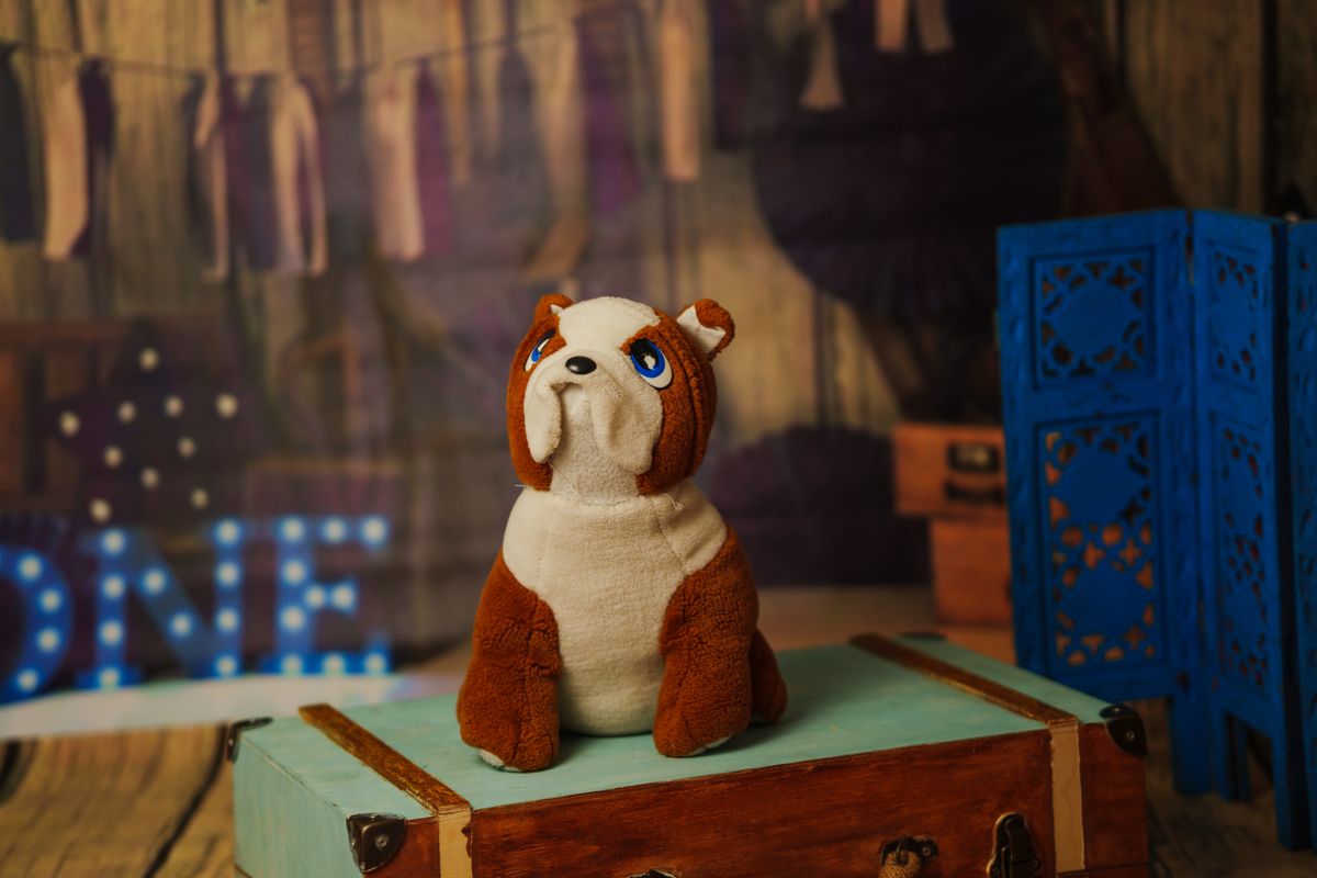 Adorable bulldog plush toy sitting on a vintage wooden trunk in a cozy indoor setting.