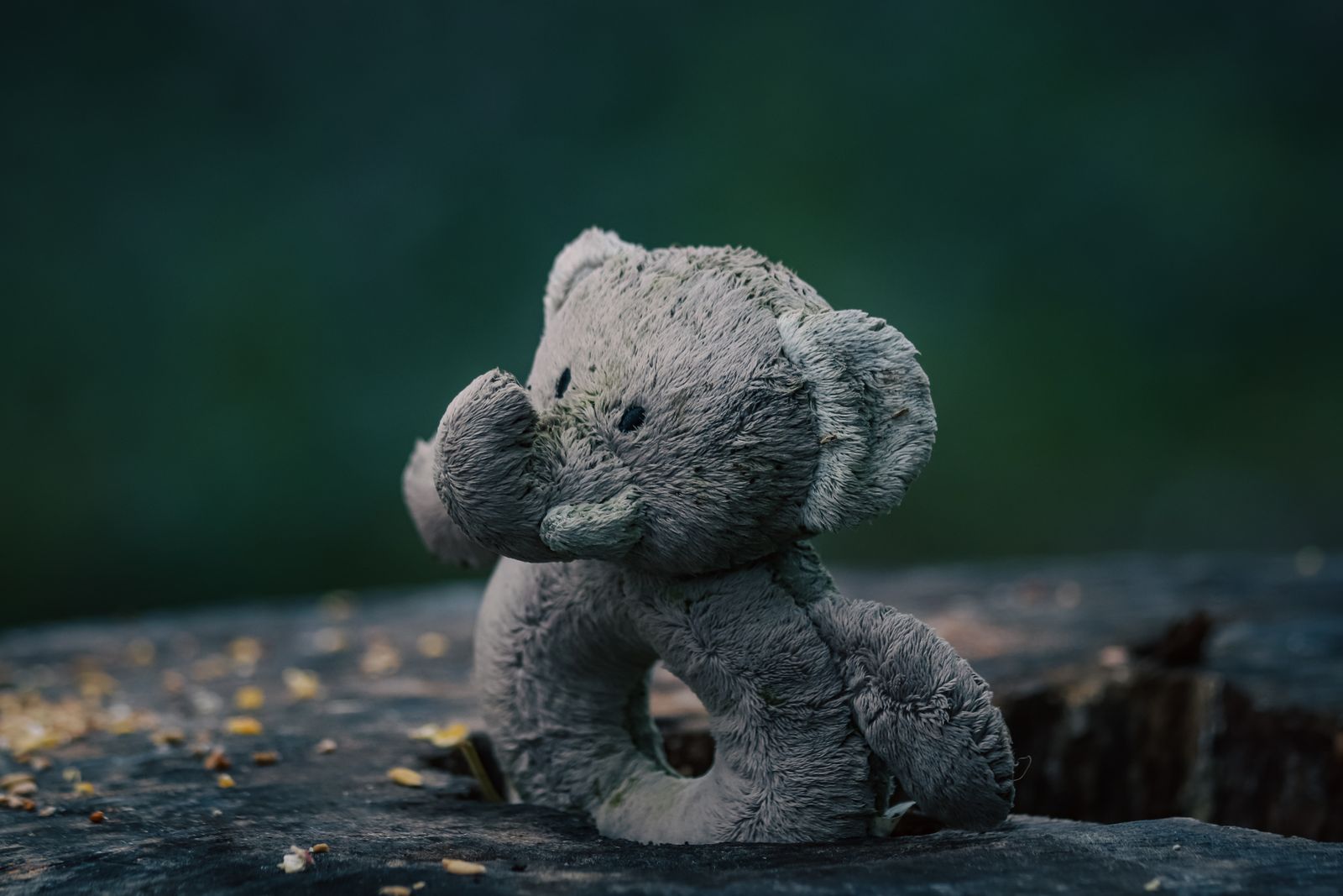 Soft elephant plush toy sitting on a weathered tree stump, outdoors.