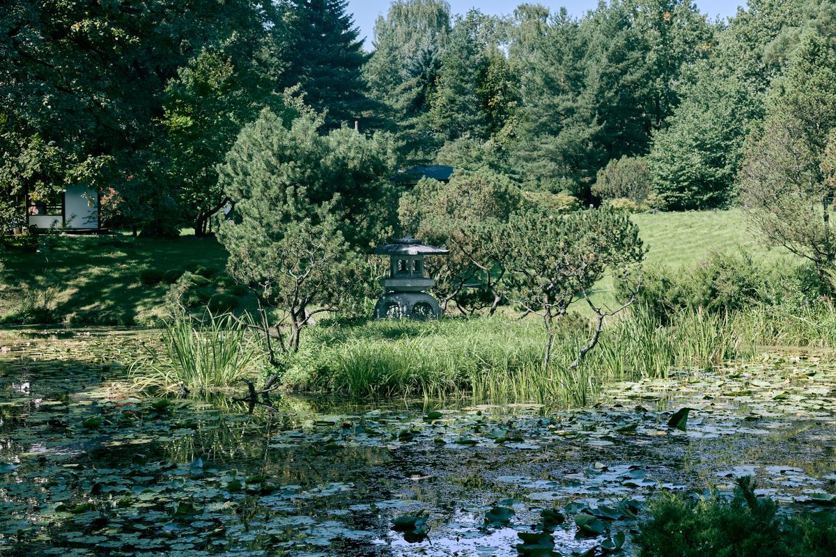 Peaceful garden landscape featuring a stone lantern by a lush, reflective pond.