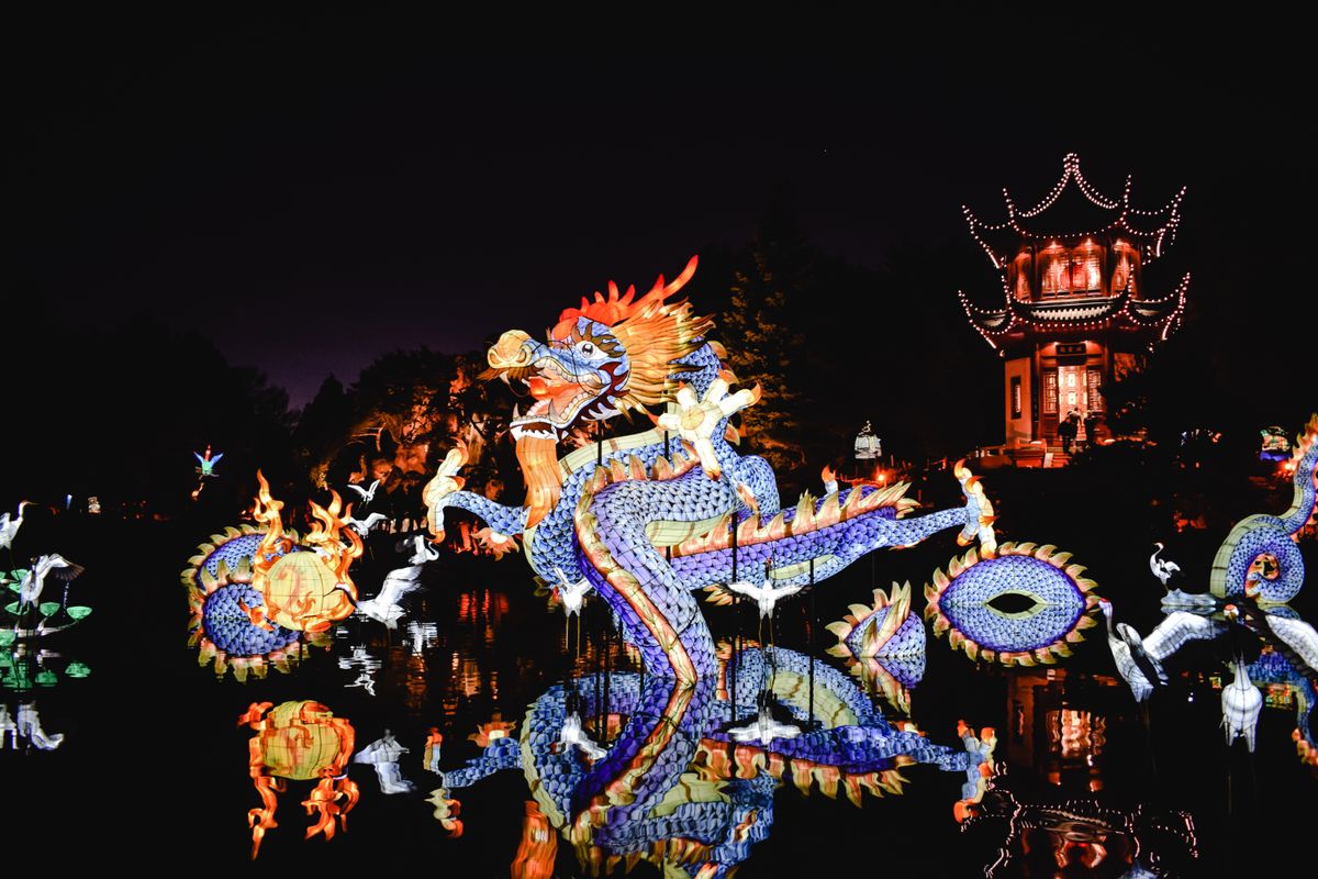 Experience the stunning dragon lantern at Montreal's night-time light festival.