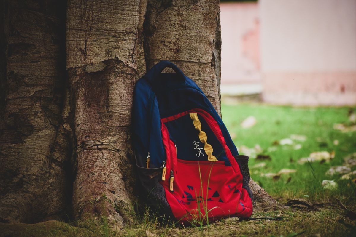 Vibrant red backpack resting against tree trunk in a natural outdoor setting.
